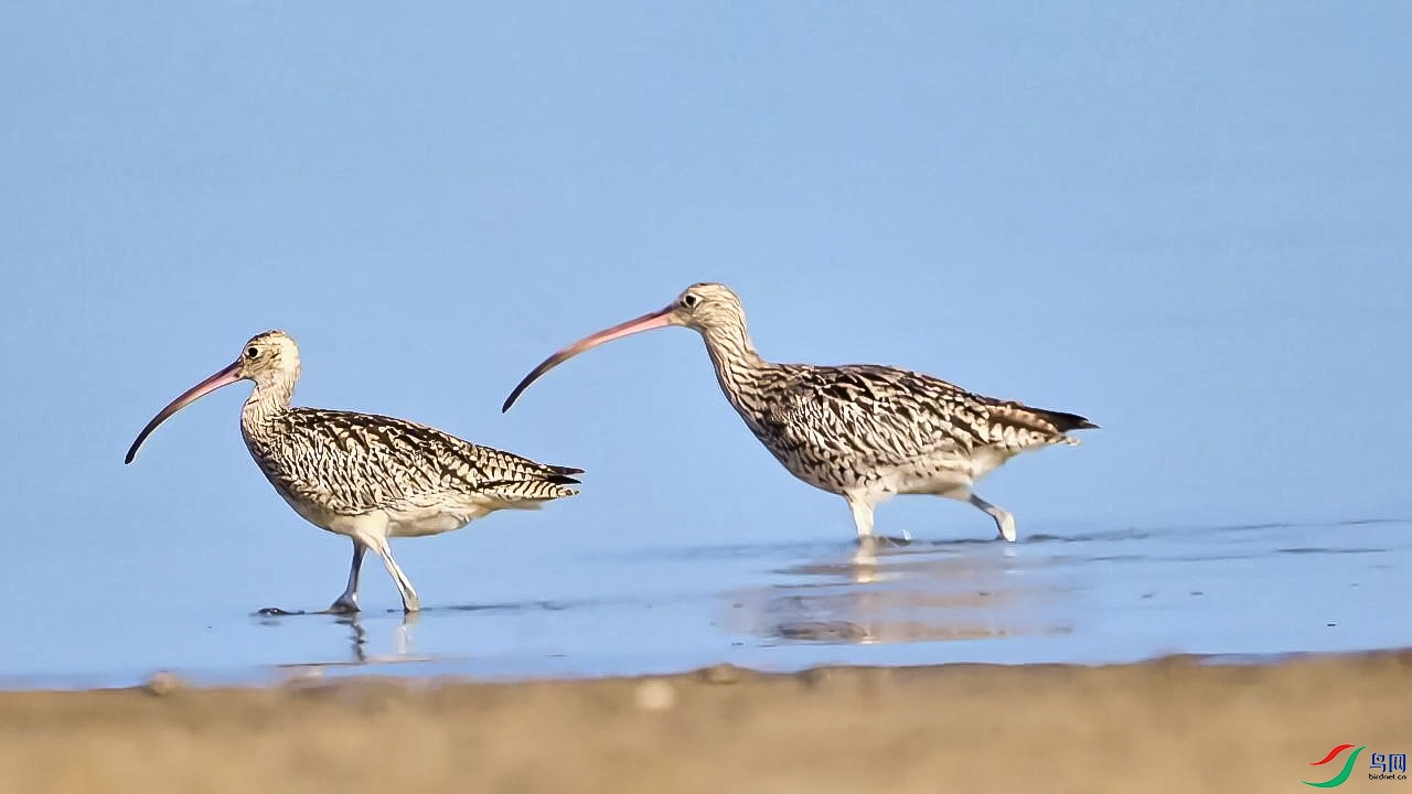 10��12�� (1)(1)-����.jpg