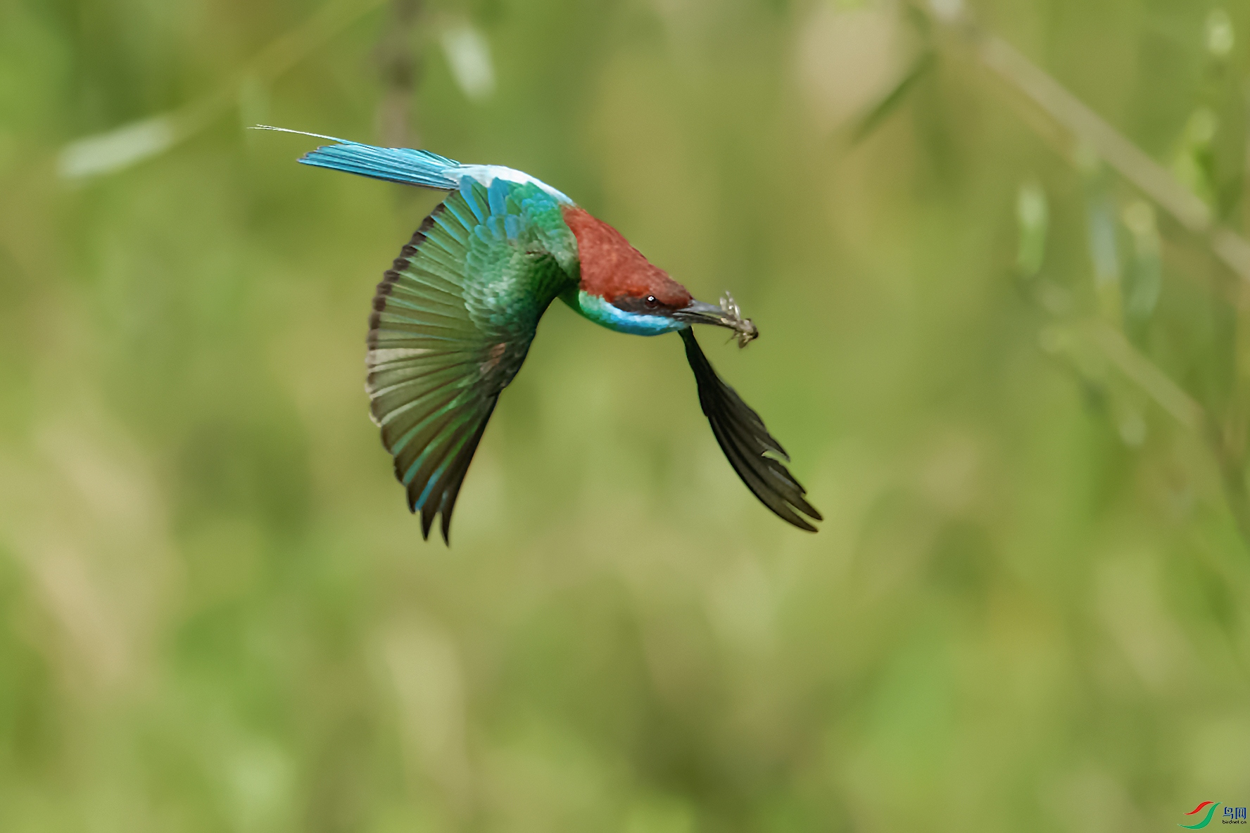 2DSC_7268_DxOa.jpg