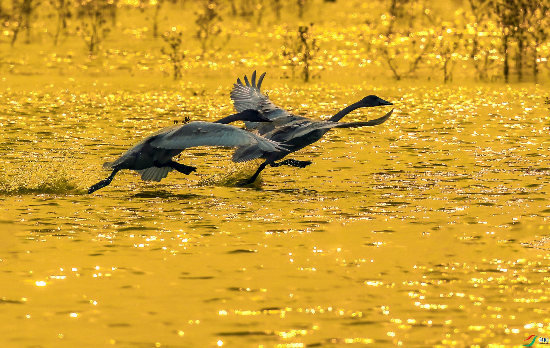 DA0P8079 ����_����.jpg