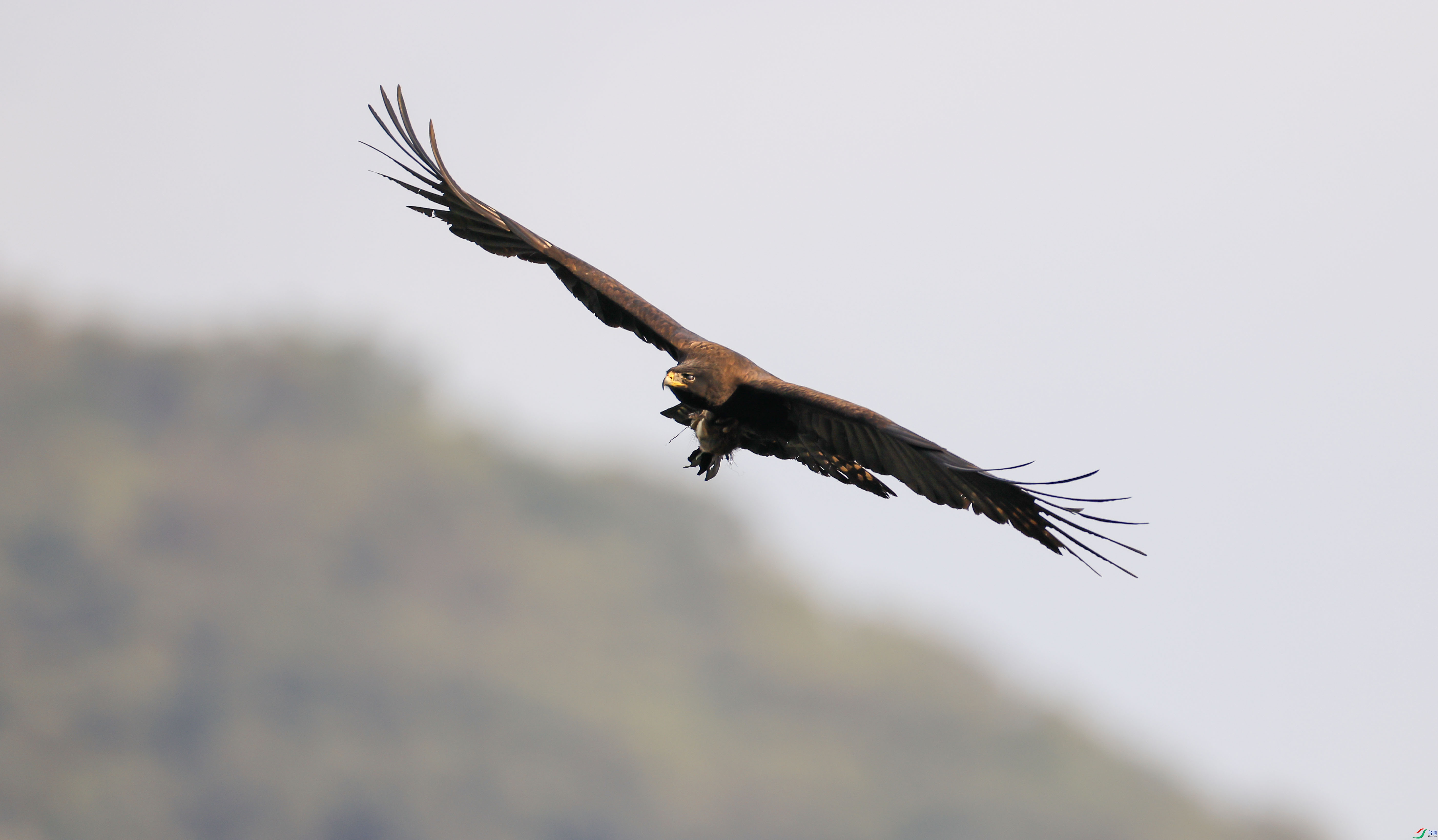 1-xt�ҵ�4L2A9189 ����.jpg