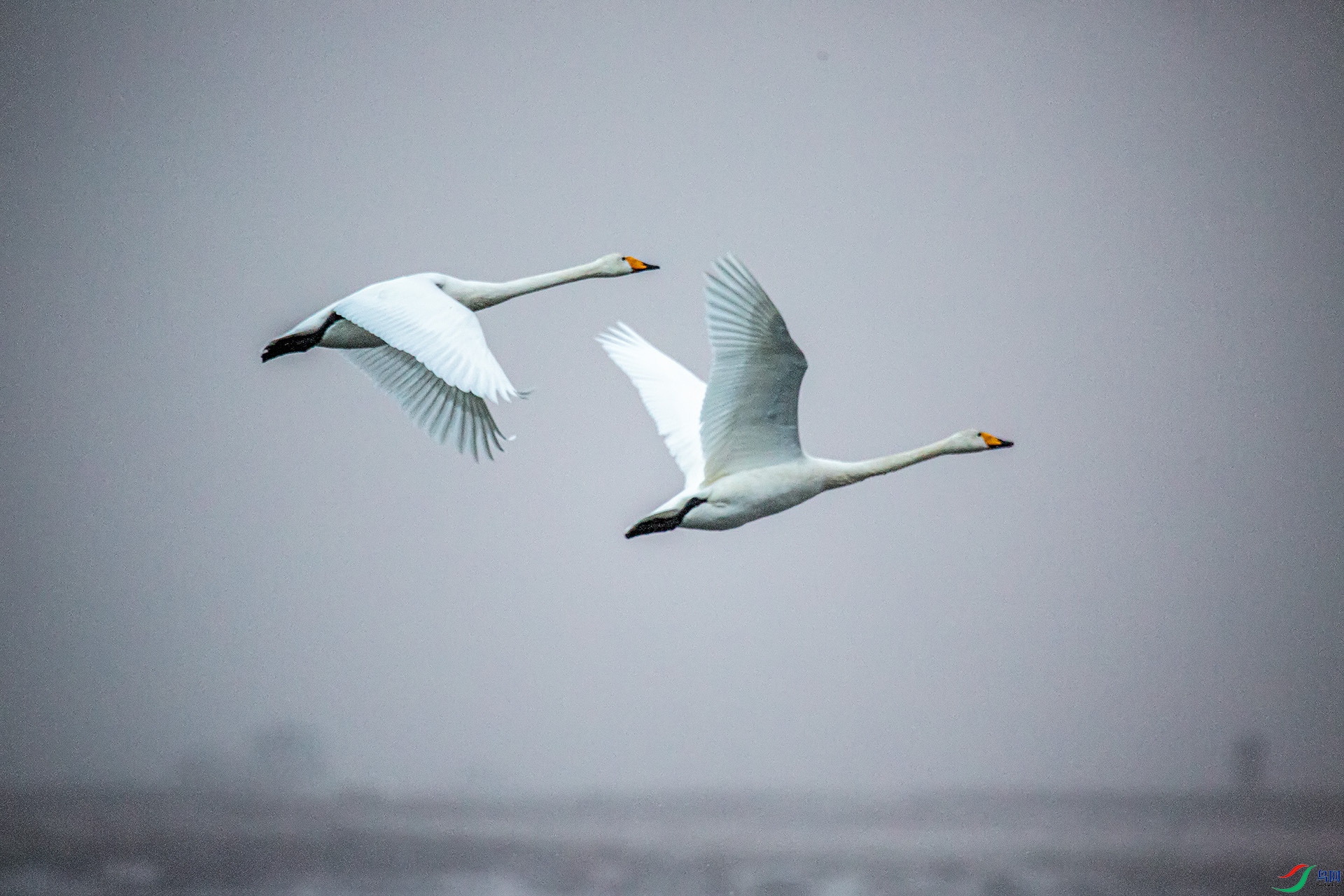 XT5A5193����25-10-13 .jpg