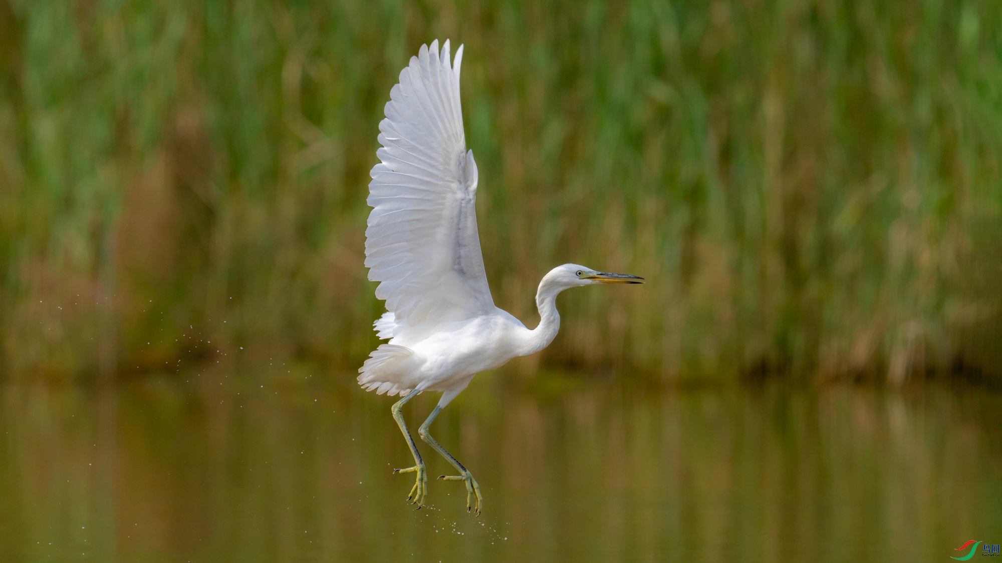 DSC_5666.jpg
