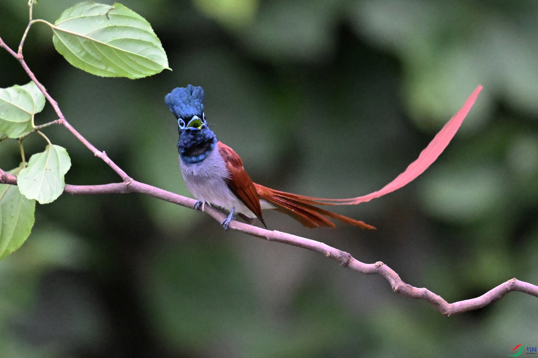 DSC_6476.JPG