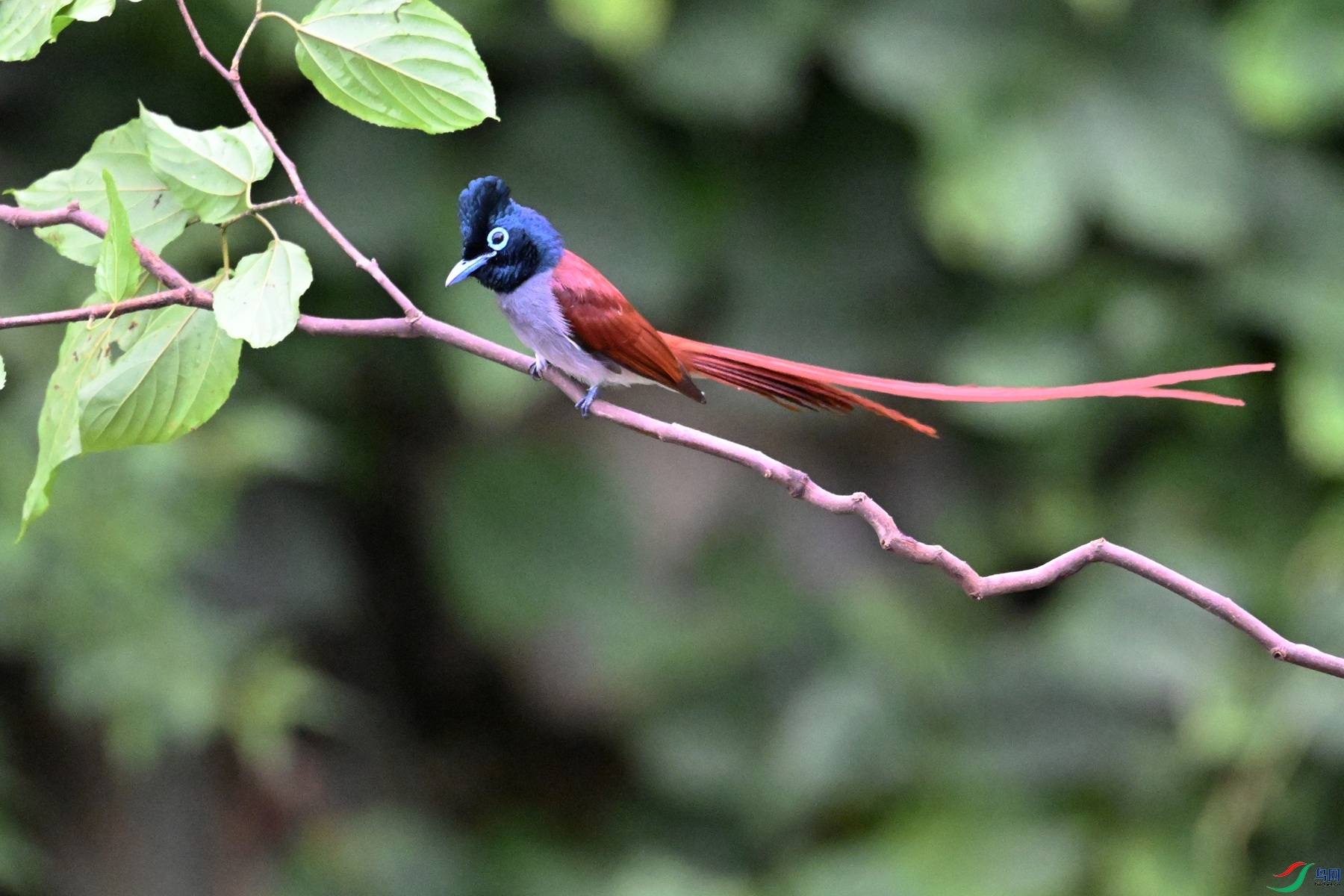 DSC_6420.JPG