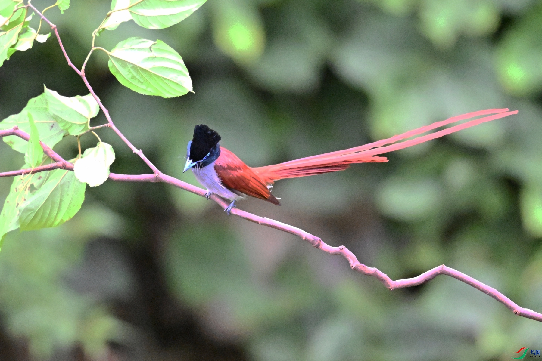 DSC_6445.JPG