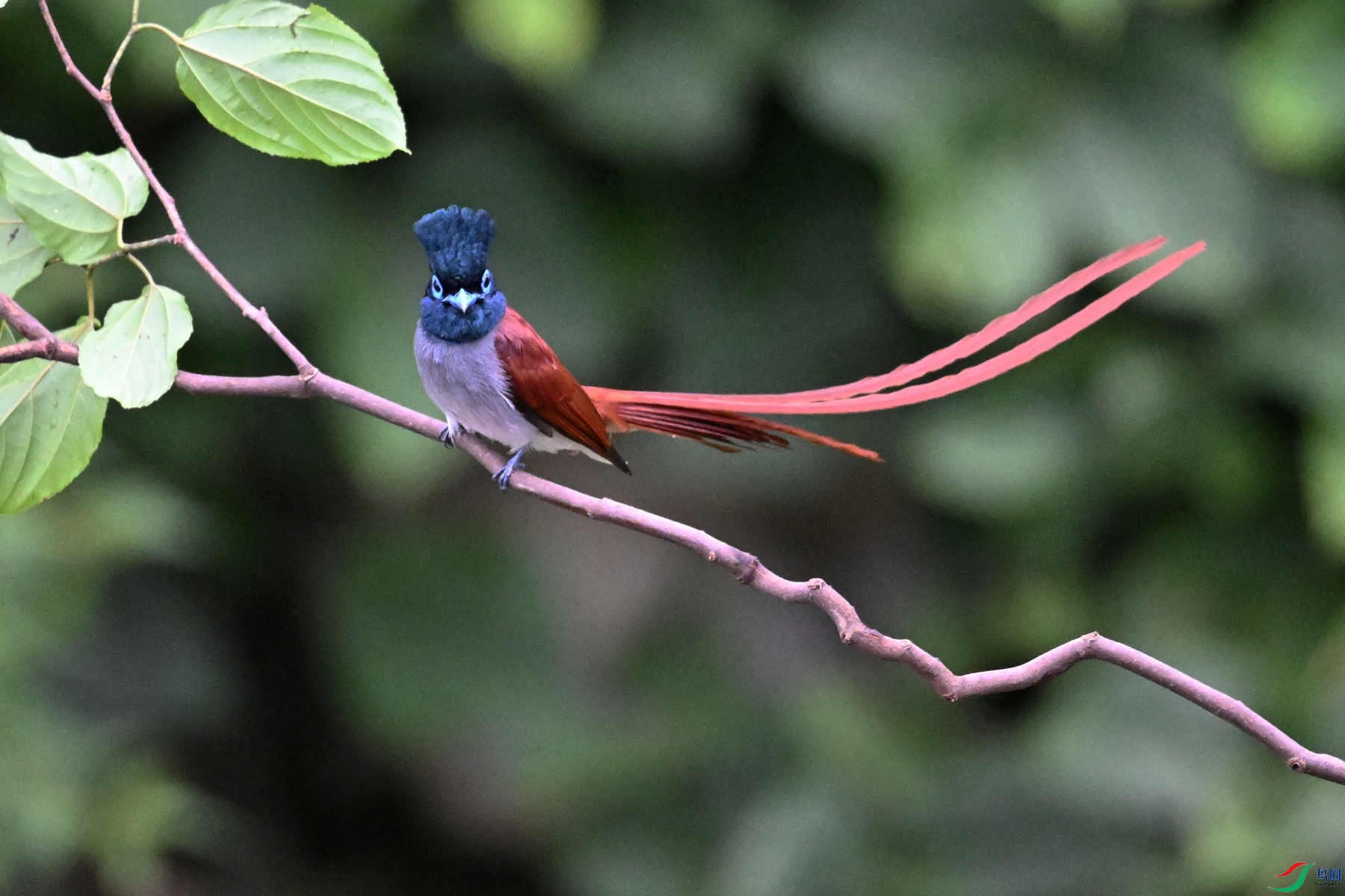 DSC_6425.JPG