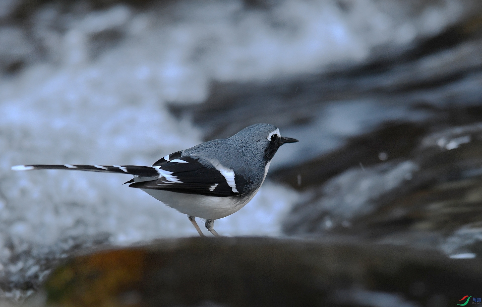 DSC_6066.jpg