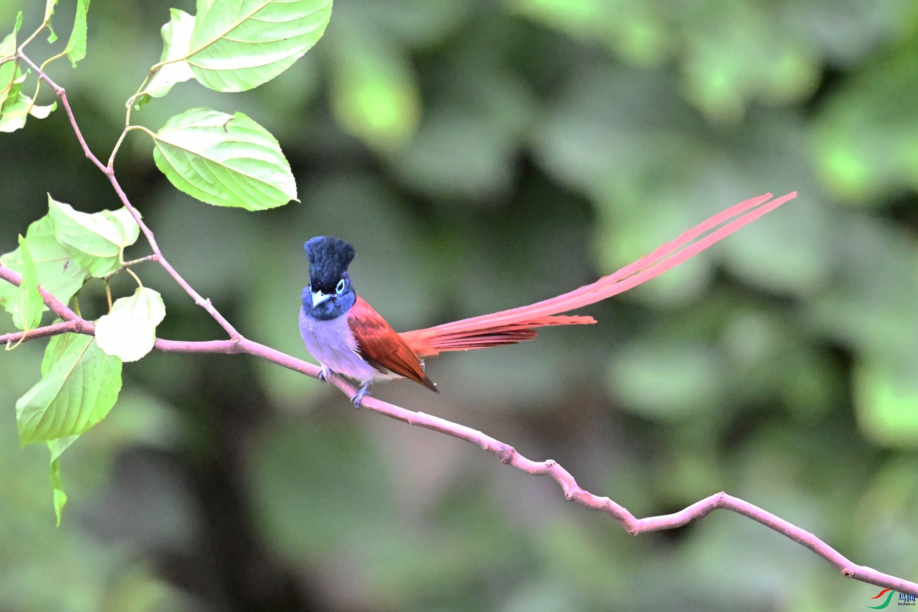 DSC_6434.JPG