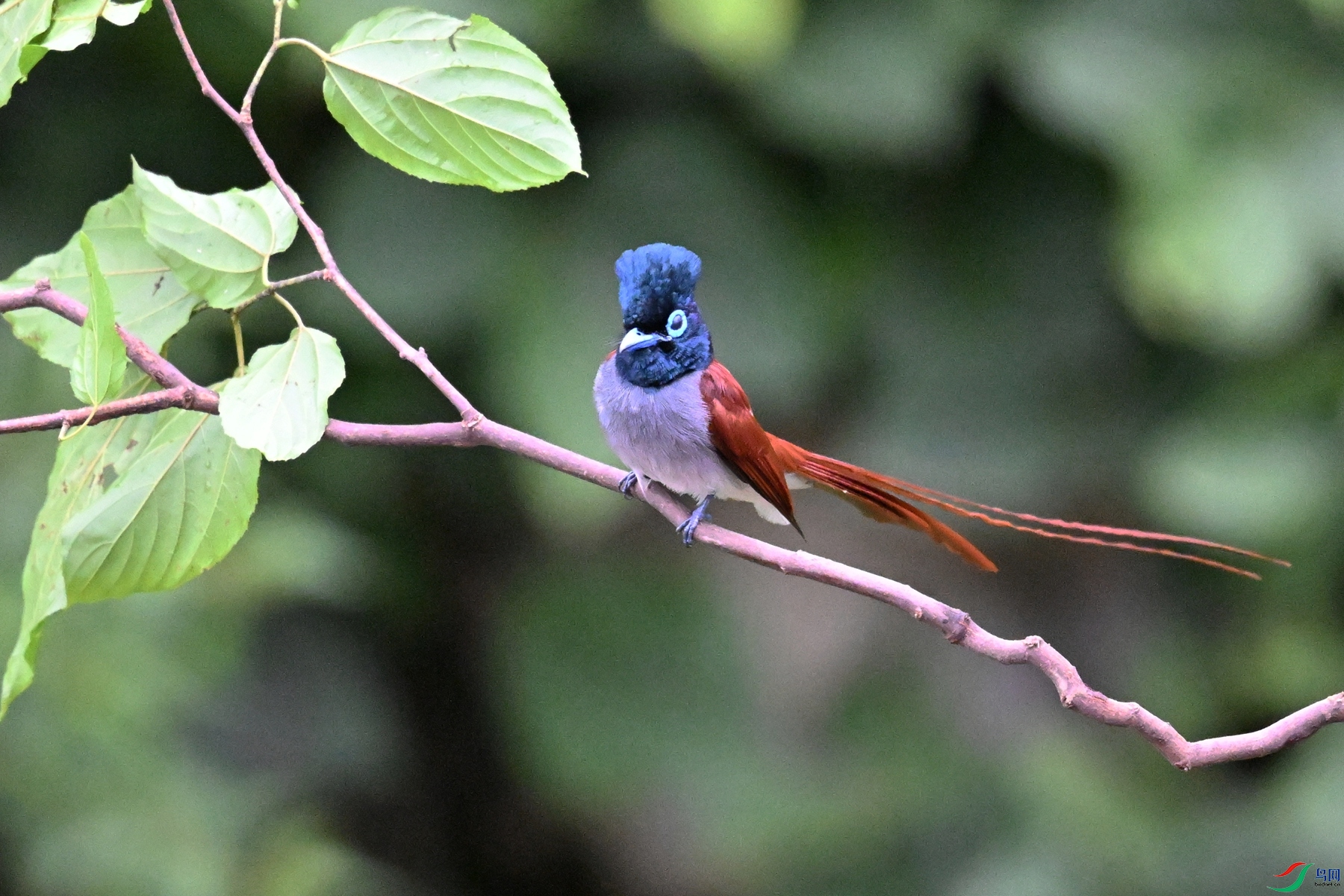 DSC_6451.JPG