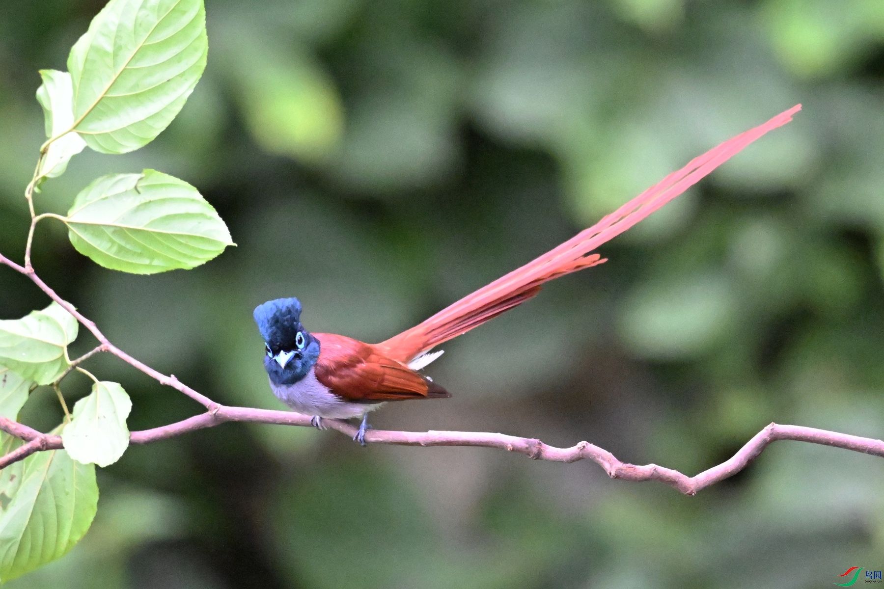 DSC_6460.JPG
