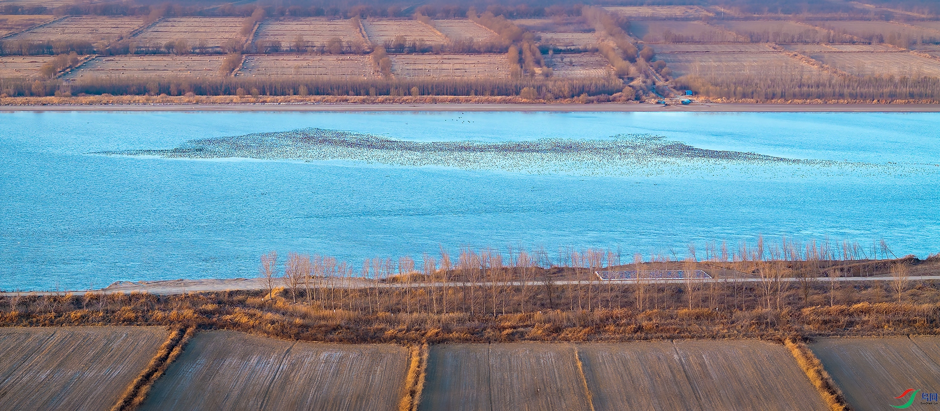 DJI_20241230162851_0024_D-DxO_DeepPRIME XD2s_XD-1.jpg