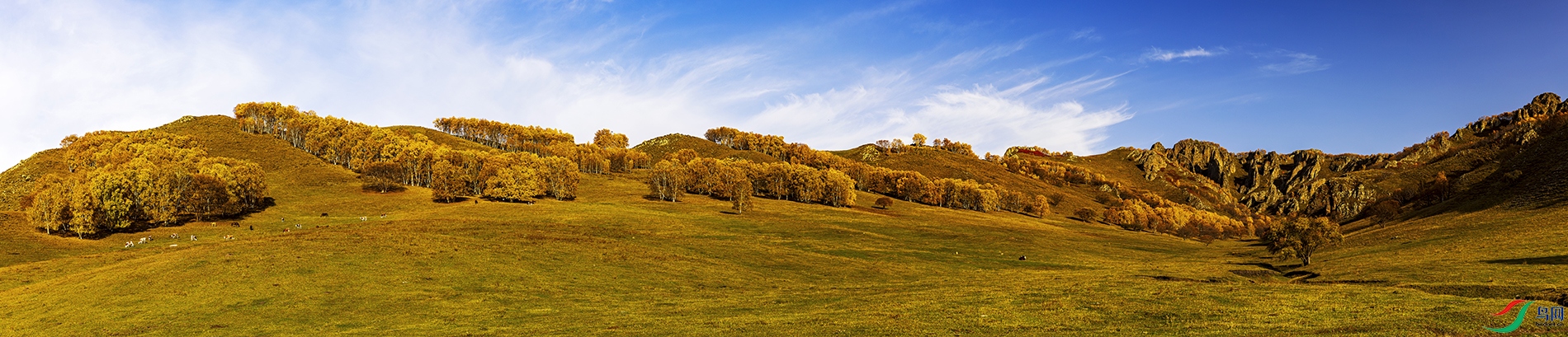_5LM5899-Panoa.jpg