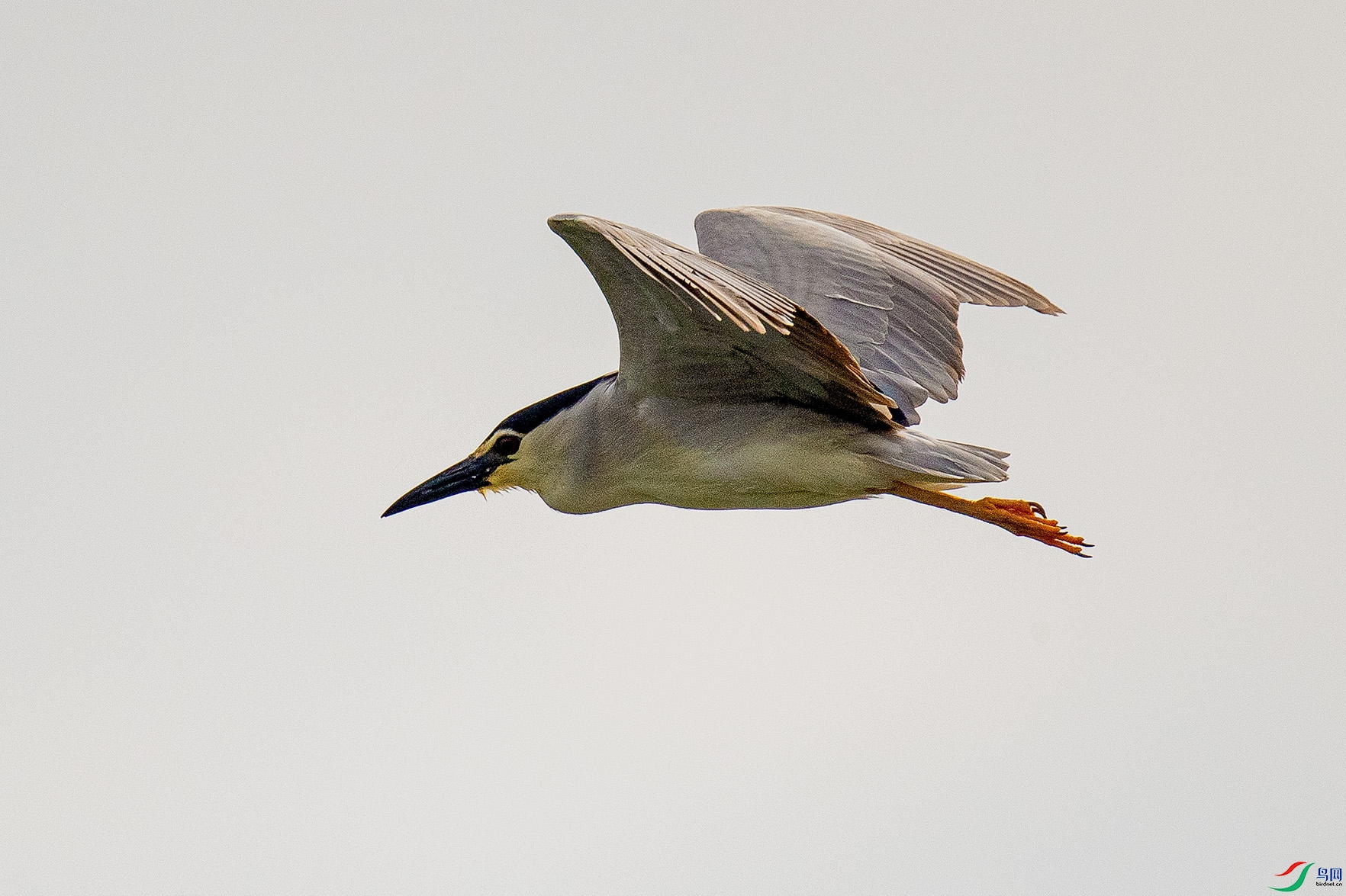 _90I8574 ����.jpg