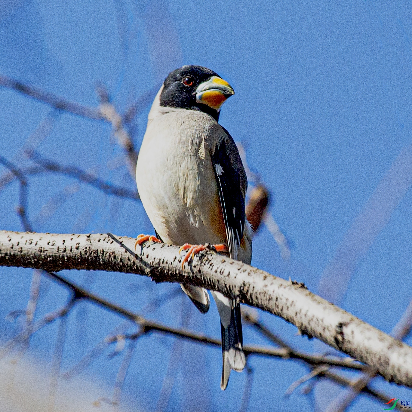 _MG_3691 ����.jpg