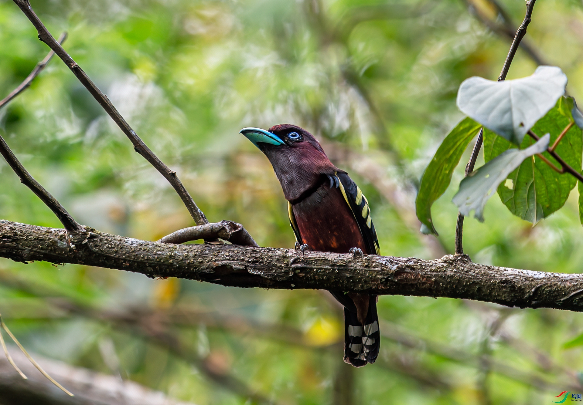 _DSC6512-11.jpg