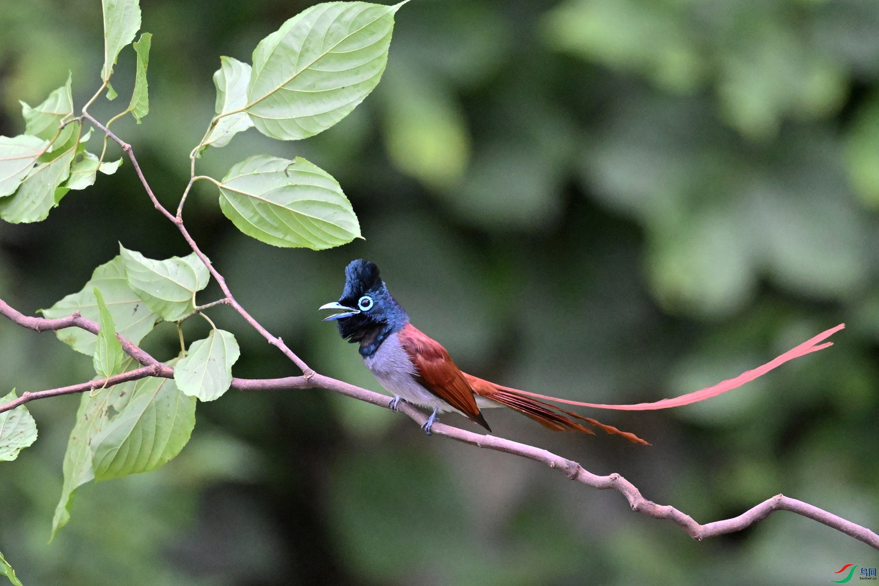 DSC_6470.JPG