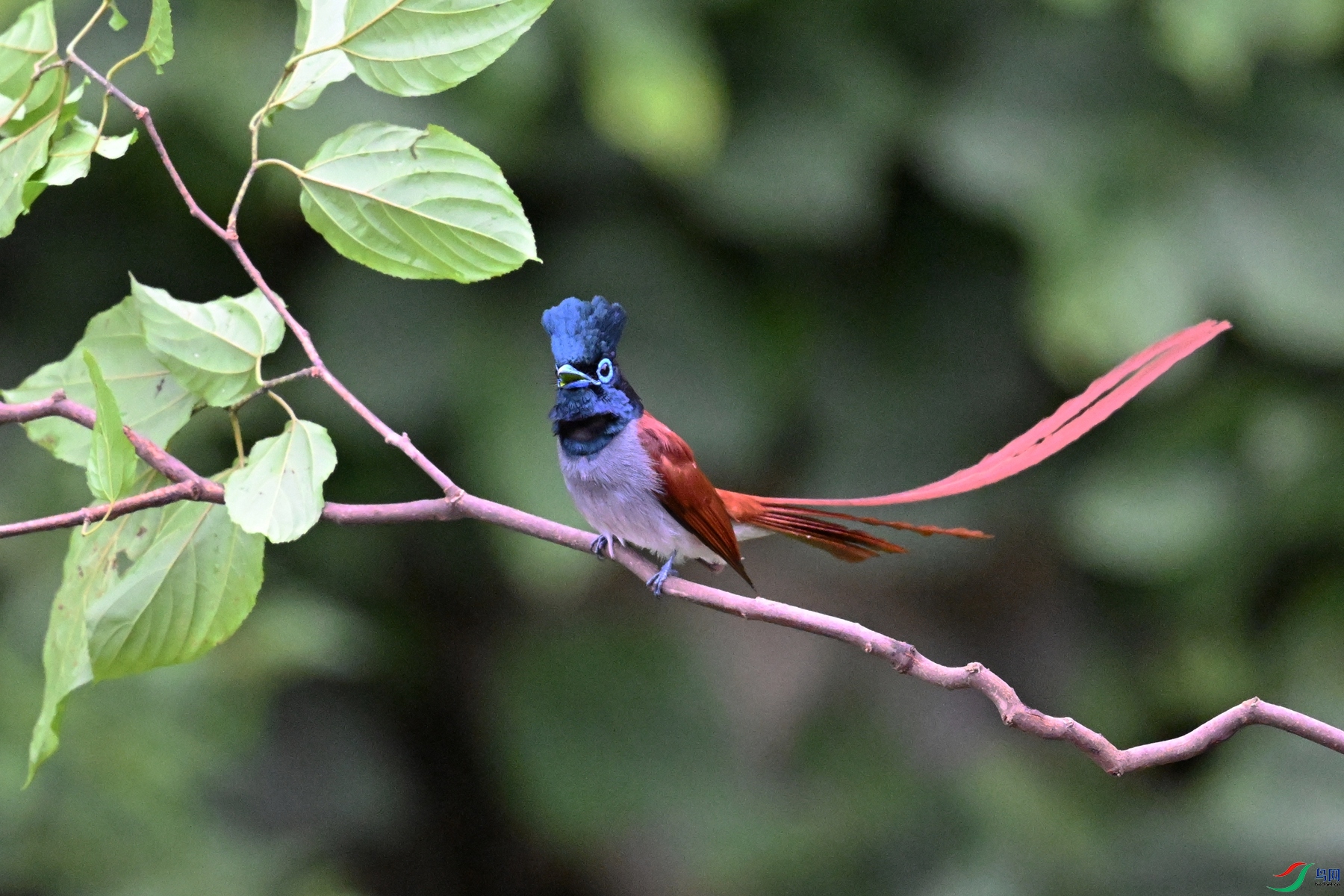 DSC_6477.JPG