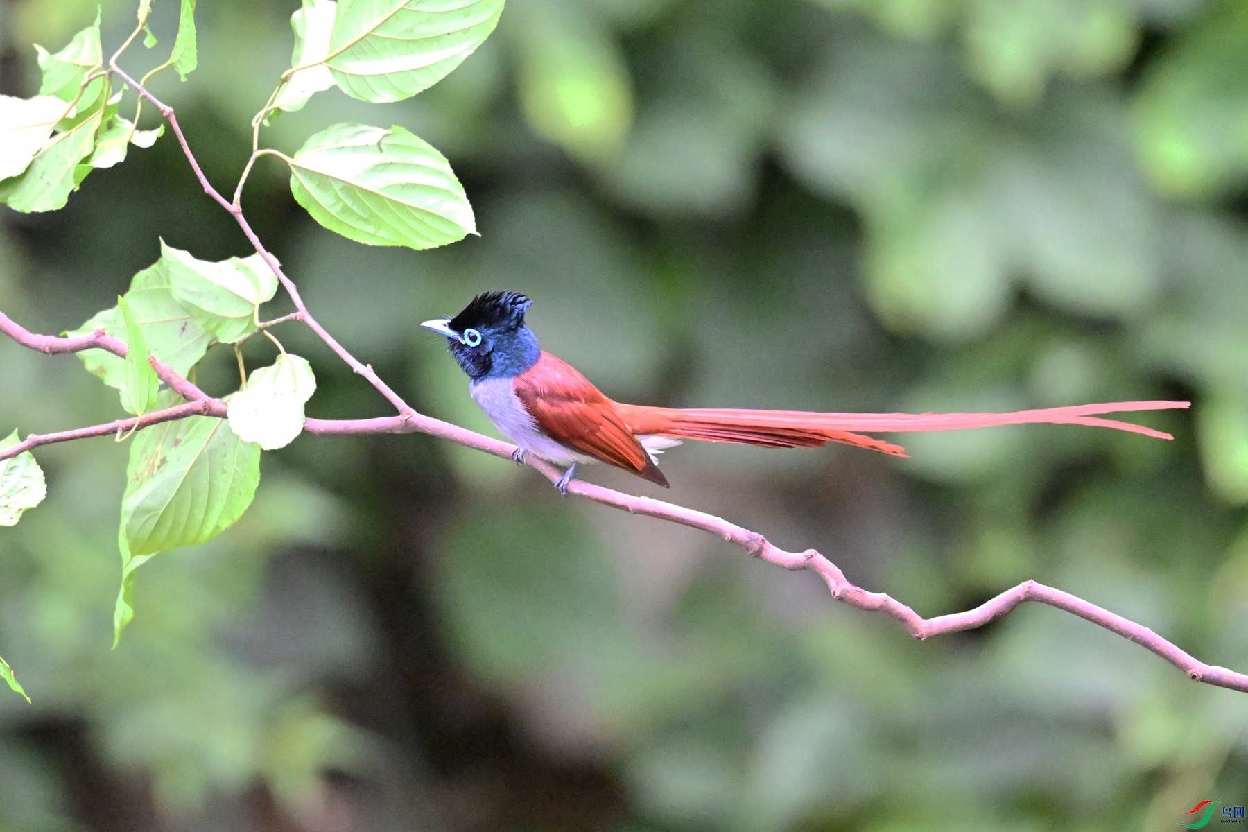 DSC_6468.JPG