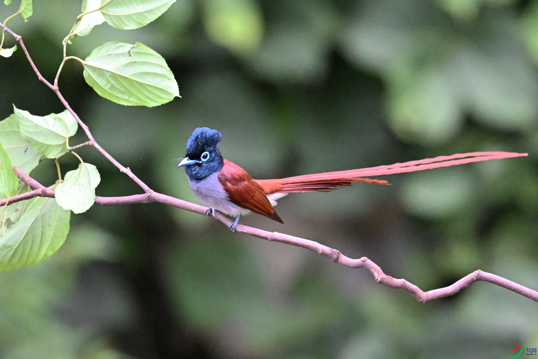 DSC_6481.JPG