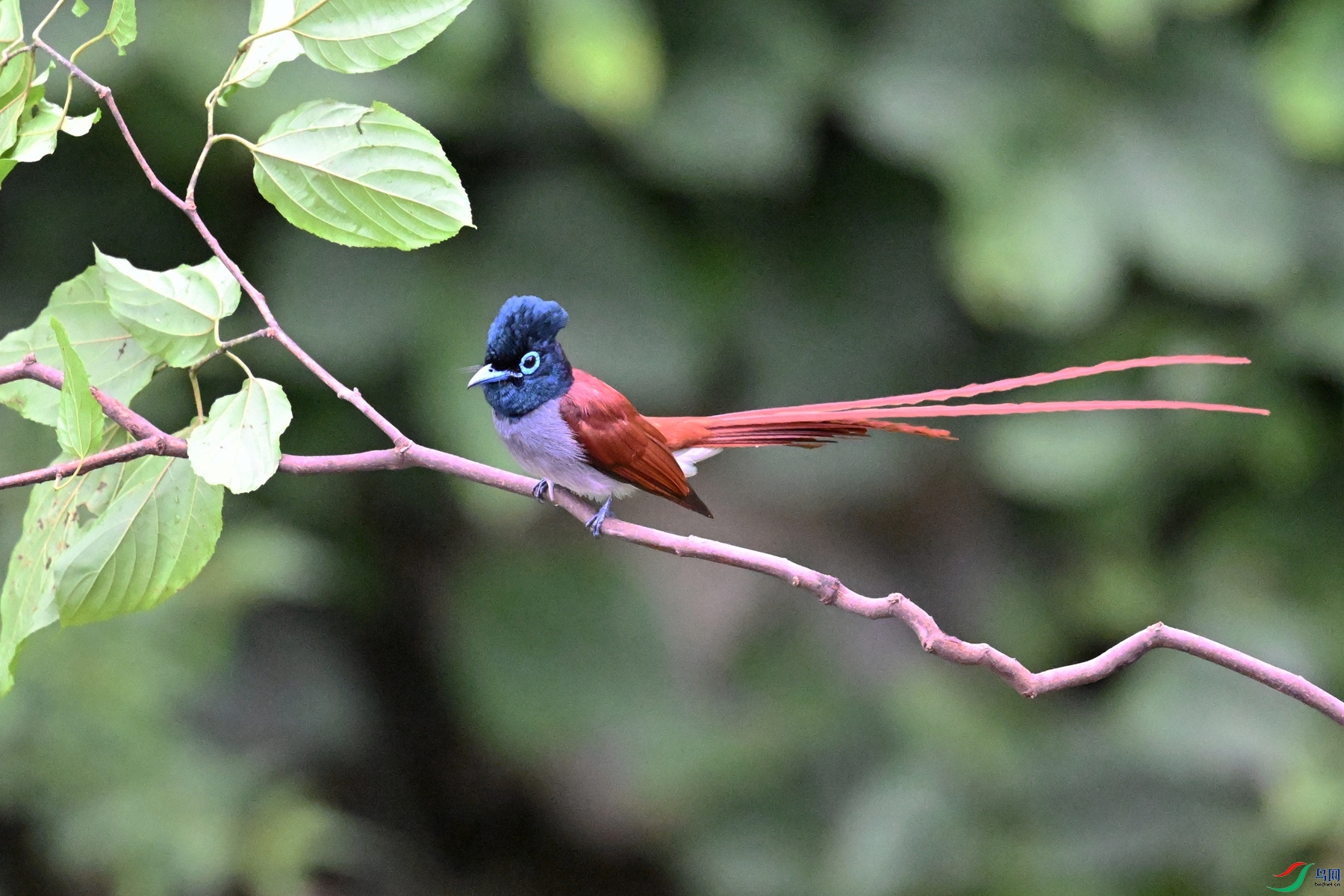 DSC_6483.JPG