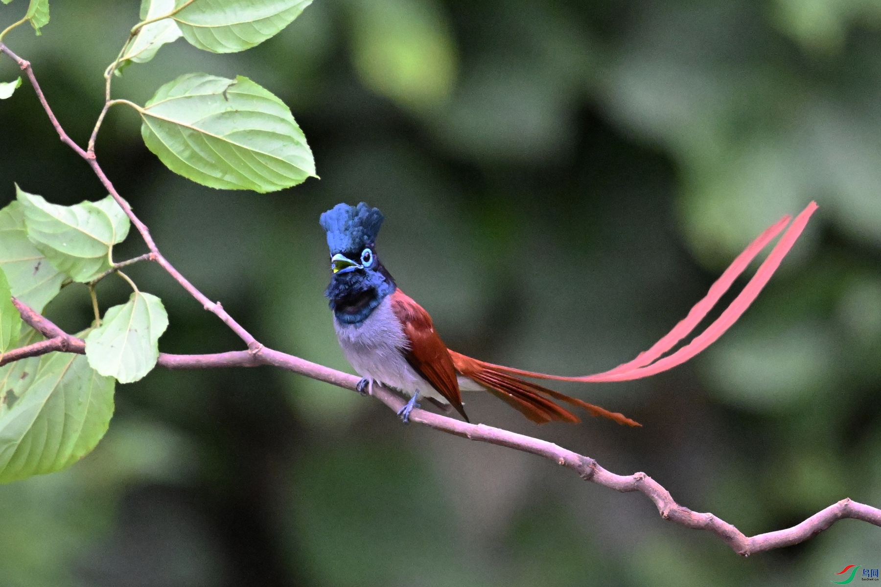 DSC_6478.JPG