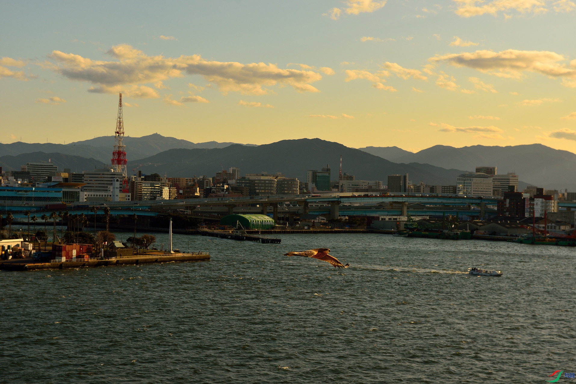 DSC_5788_����.jpg