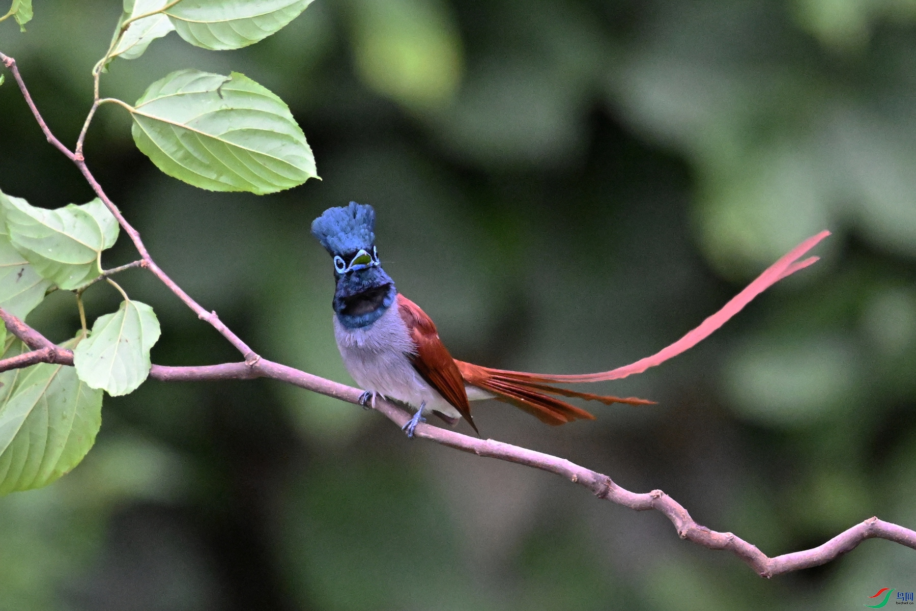 DSC_6475.JPG