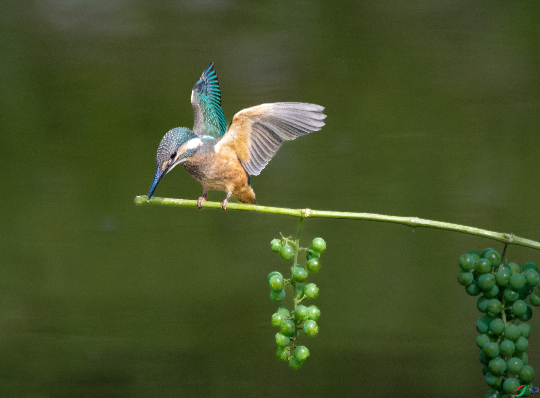 DSC_9472_��ͼ�� ����.jpg