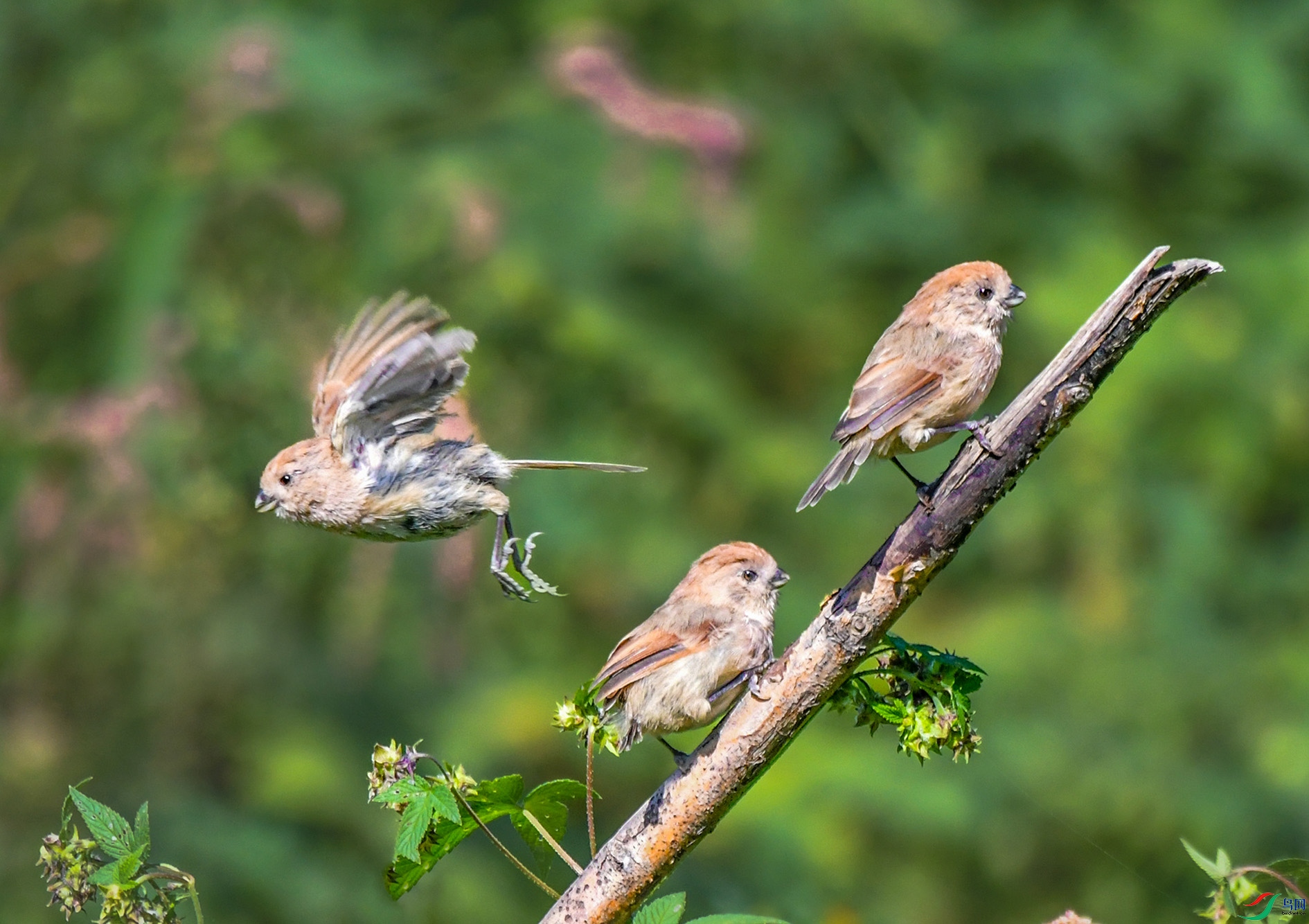 DSC_9524_��ͼ�� ����_���� ����.jpg