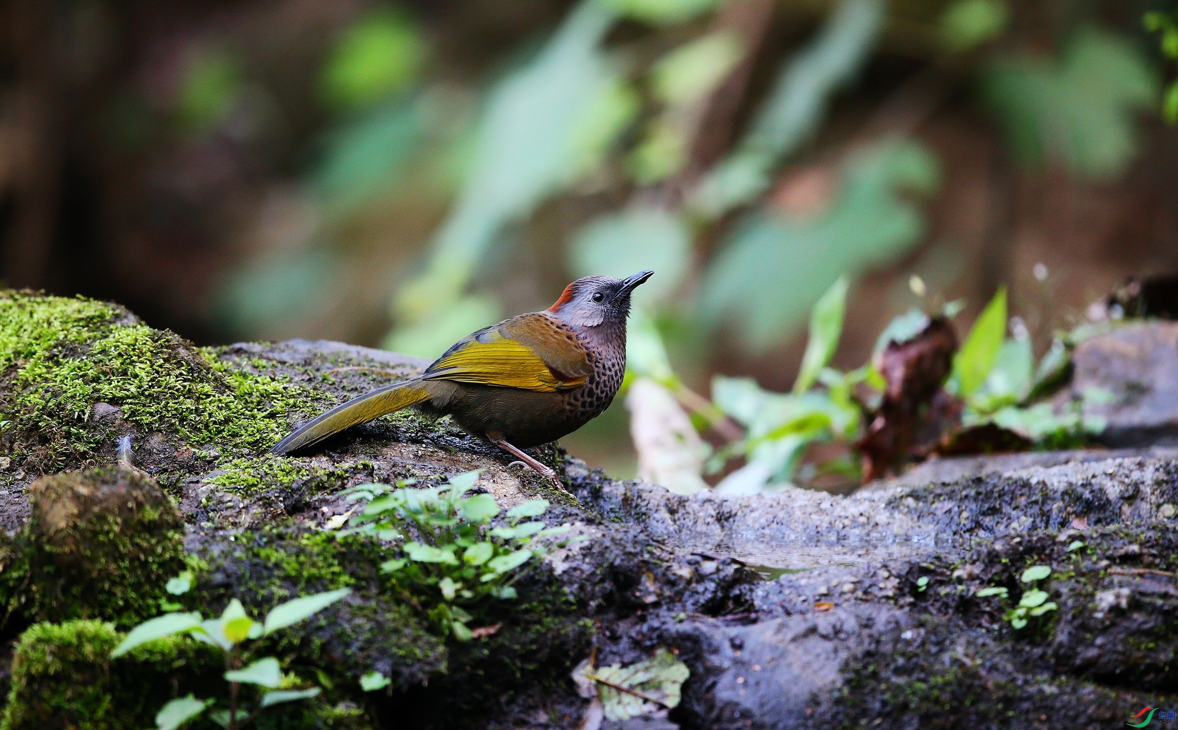 ������� (6).JPG