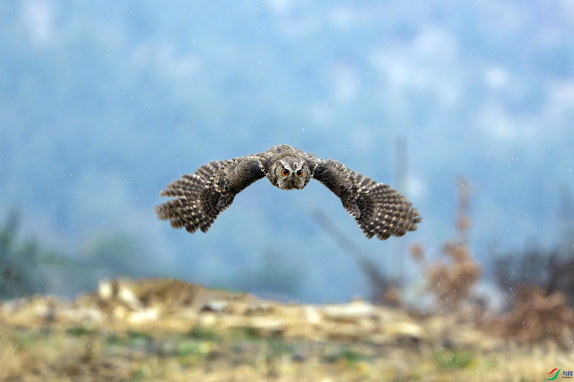 DSC07565-����ǿ-NR ����.jpg