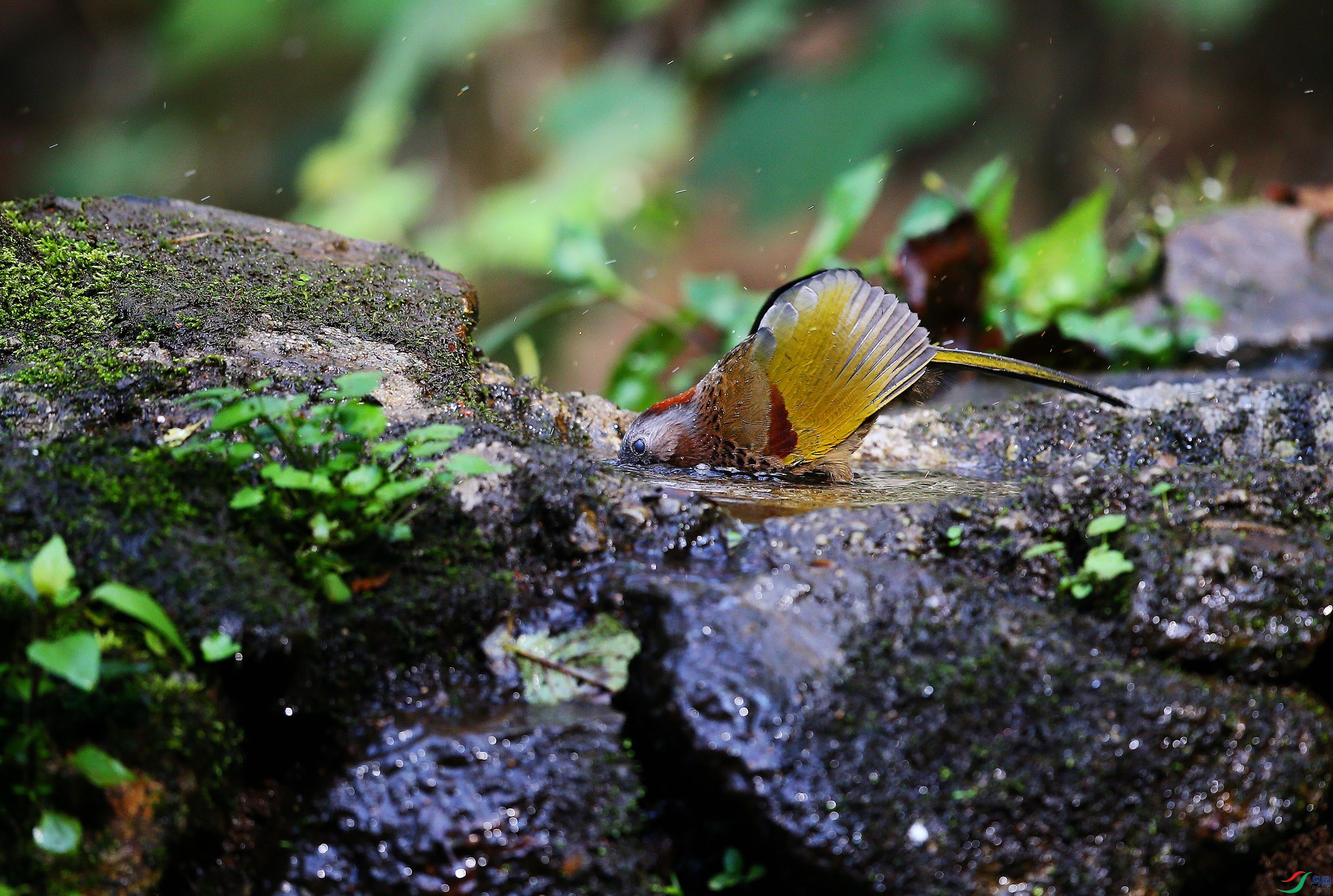 ������� (20).JPG