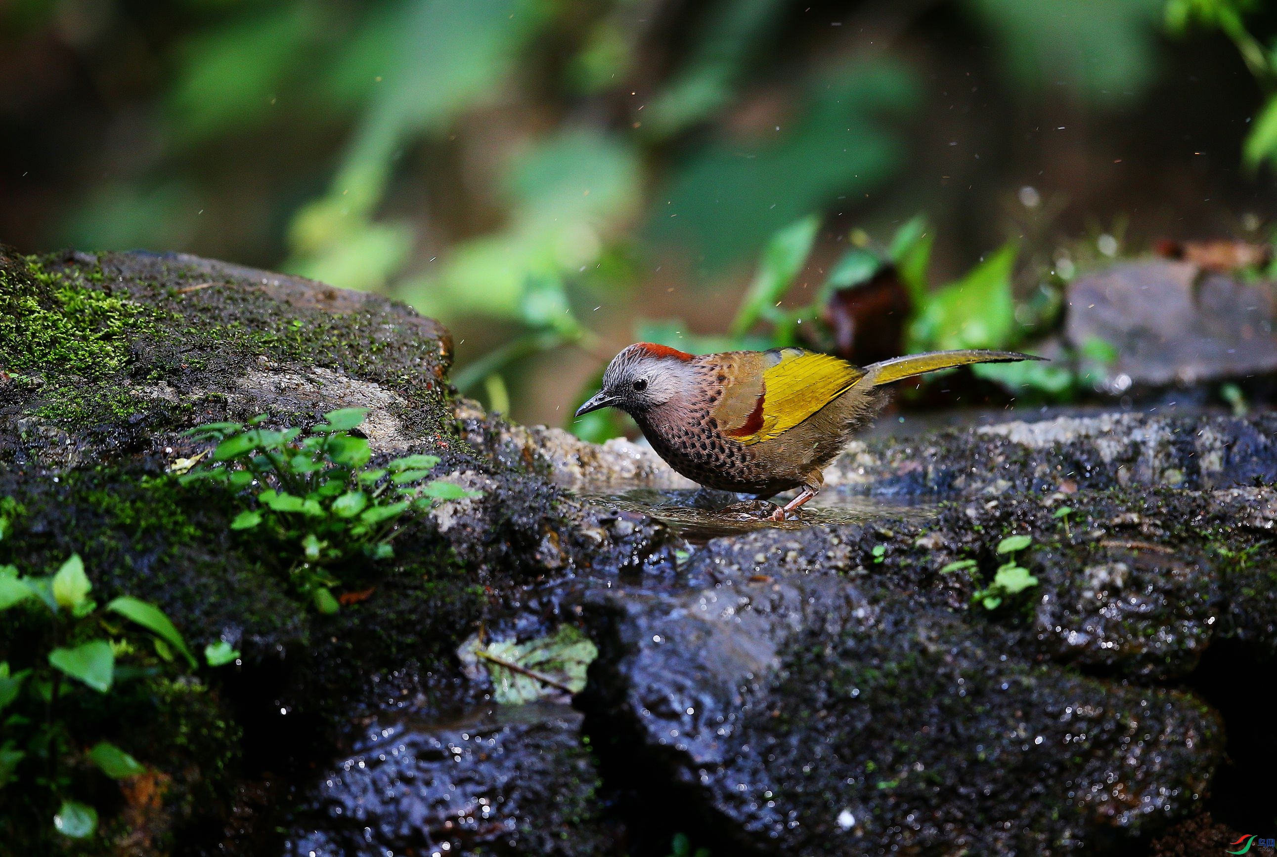 ������� (24).JPG