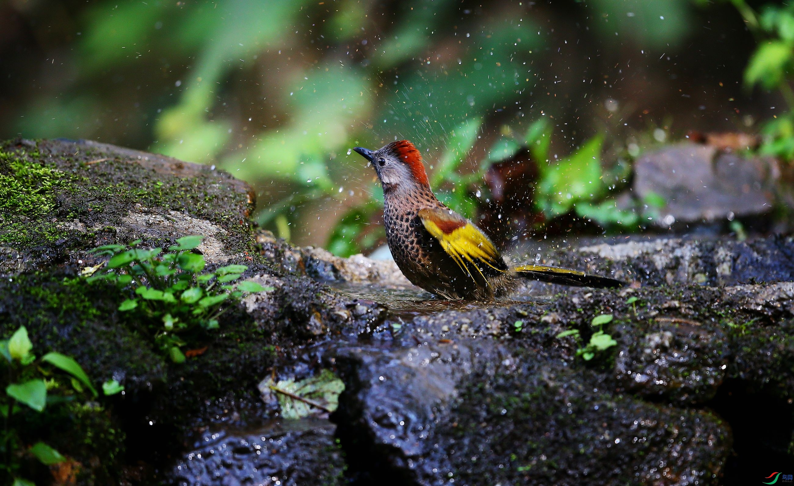 ������� (26).JPG