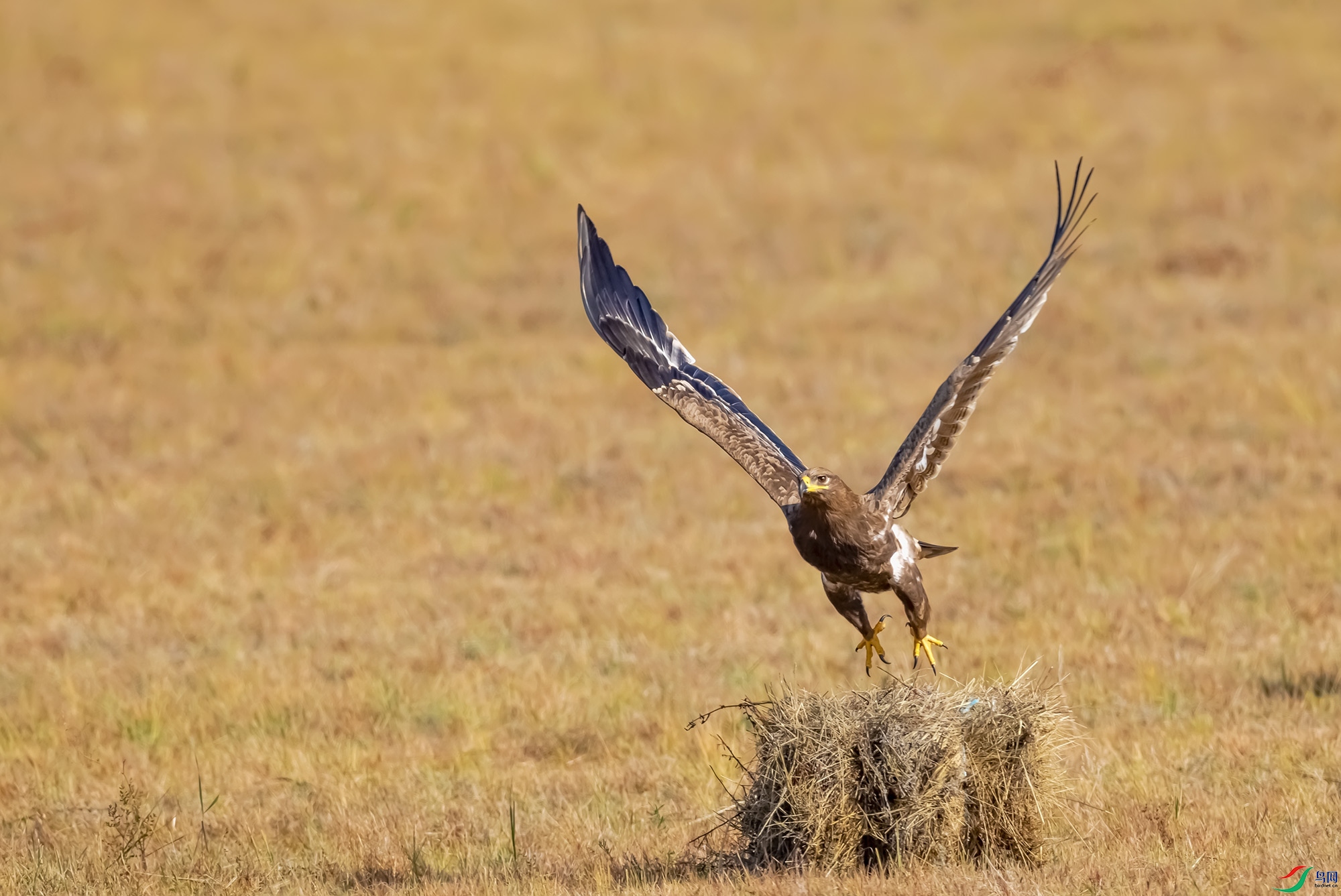 178A0308-1.jpg