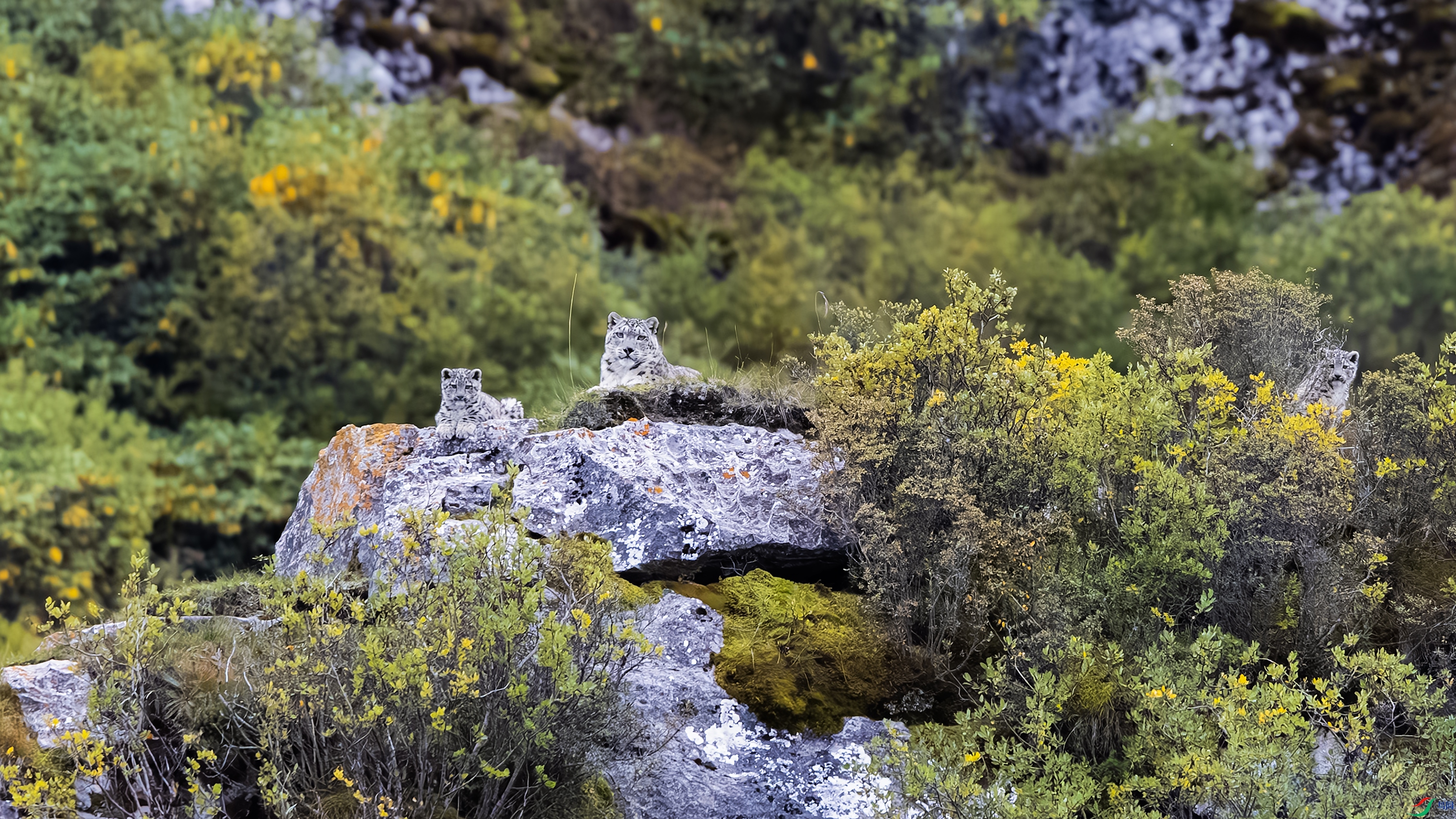 _O7A4595NR ����444454.jpg