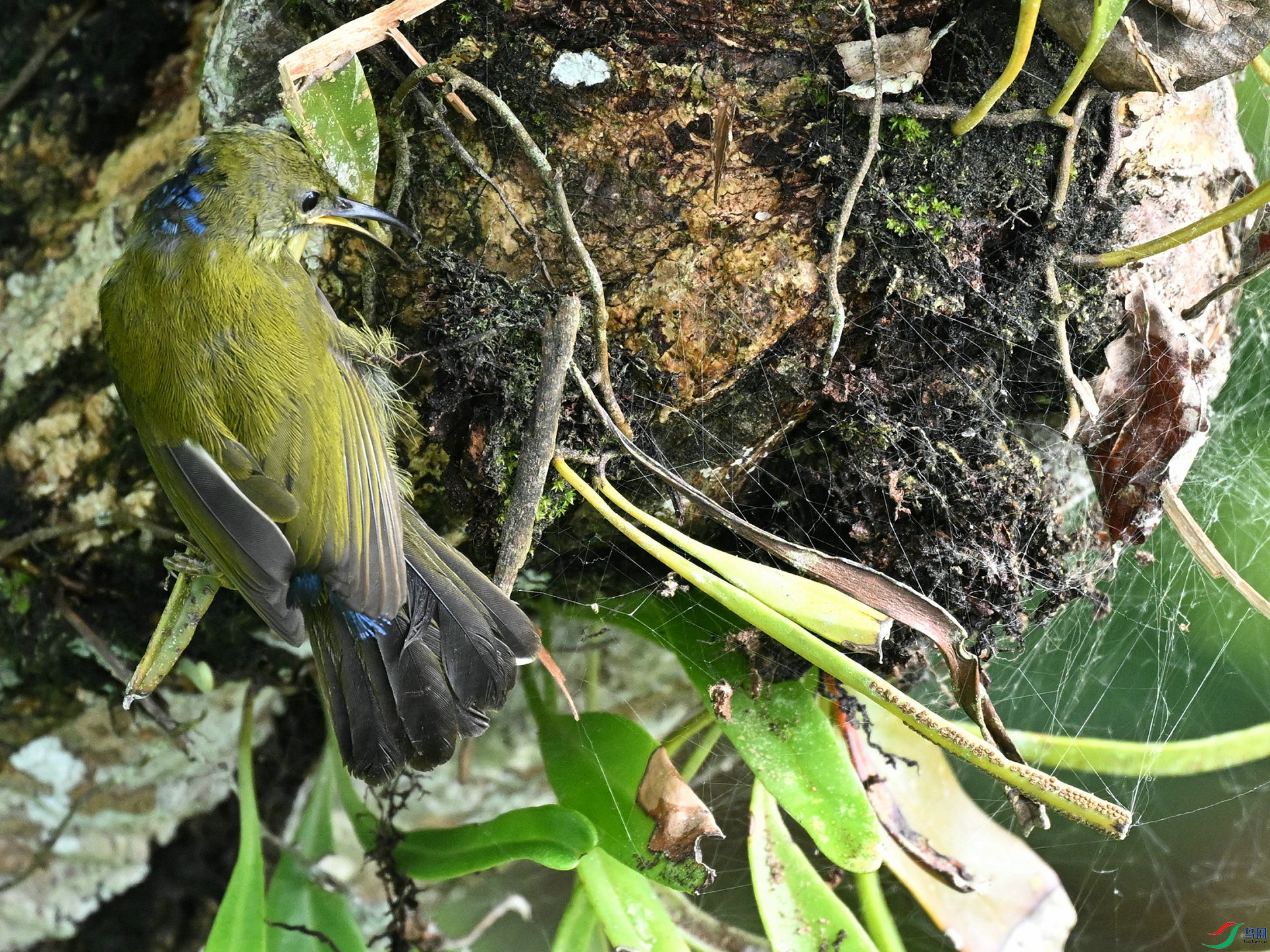 DSC_0788.jpg