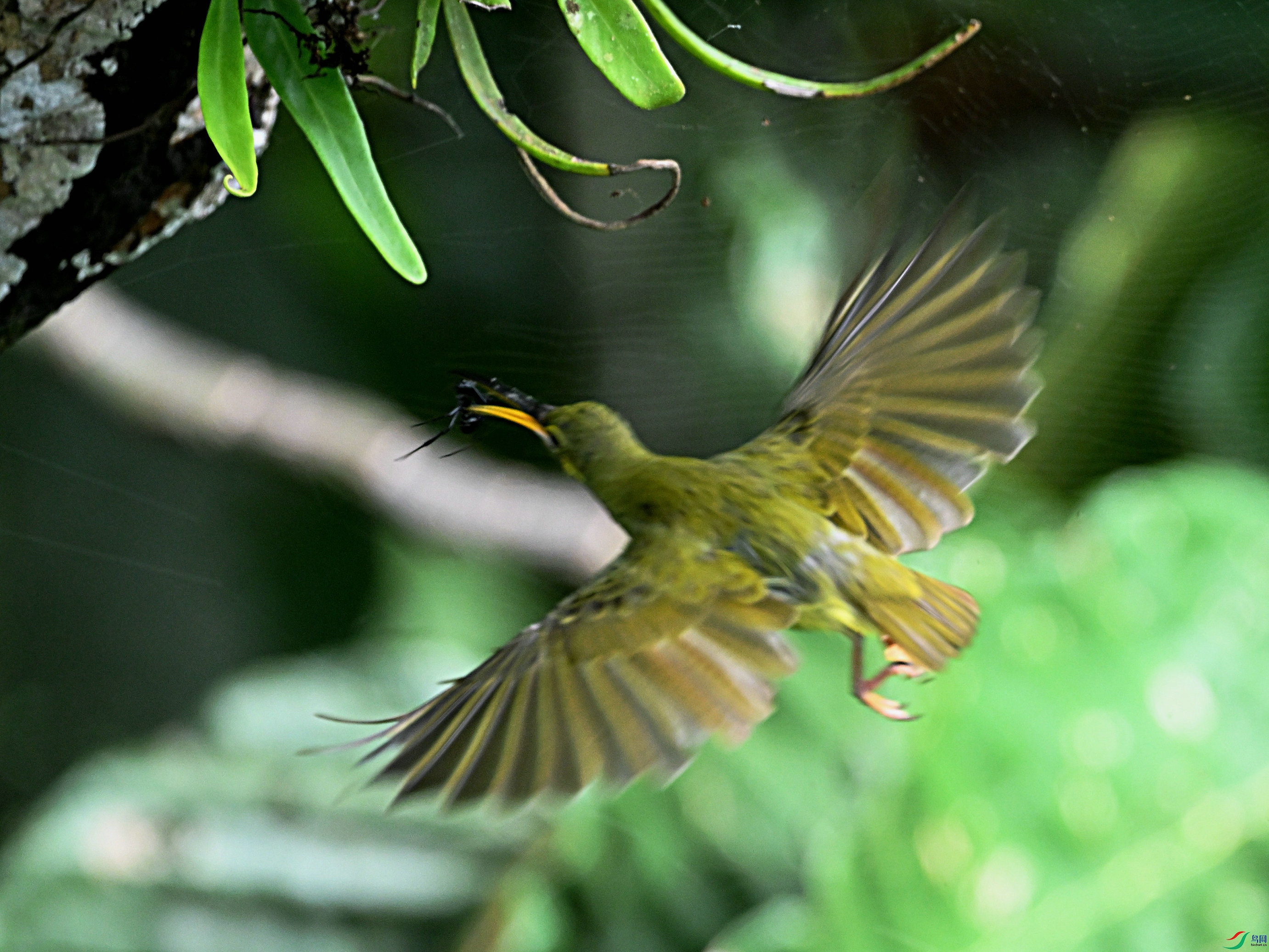 DSC_0864.jpg