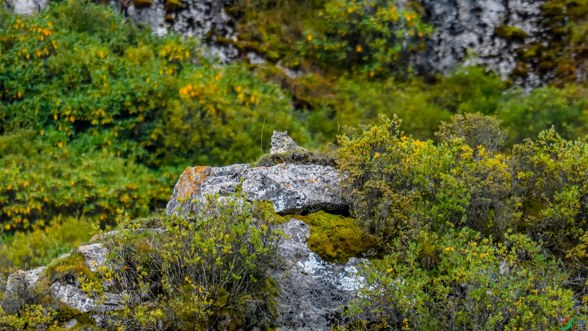 _DSC1629_����.jpg