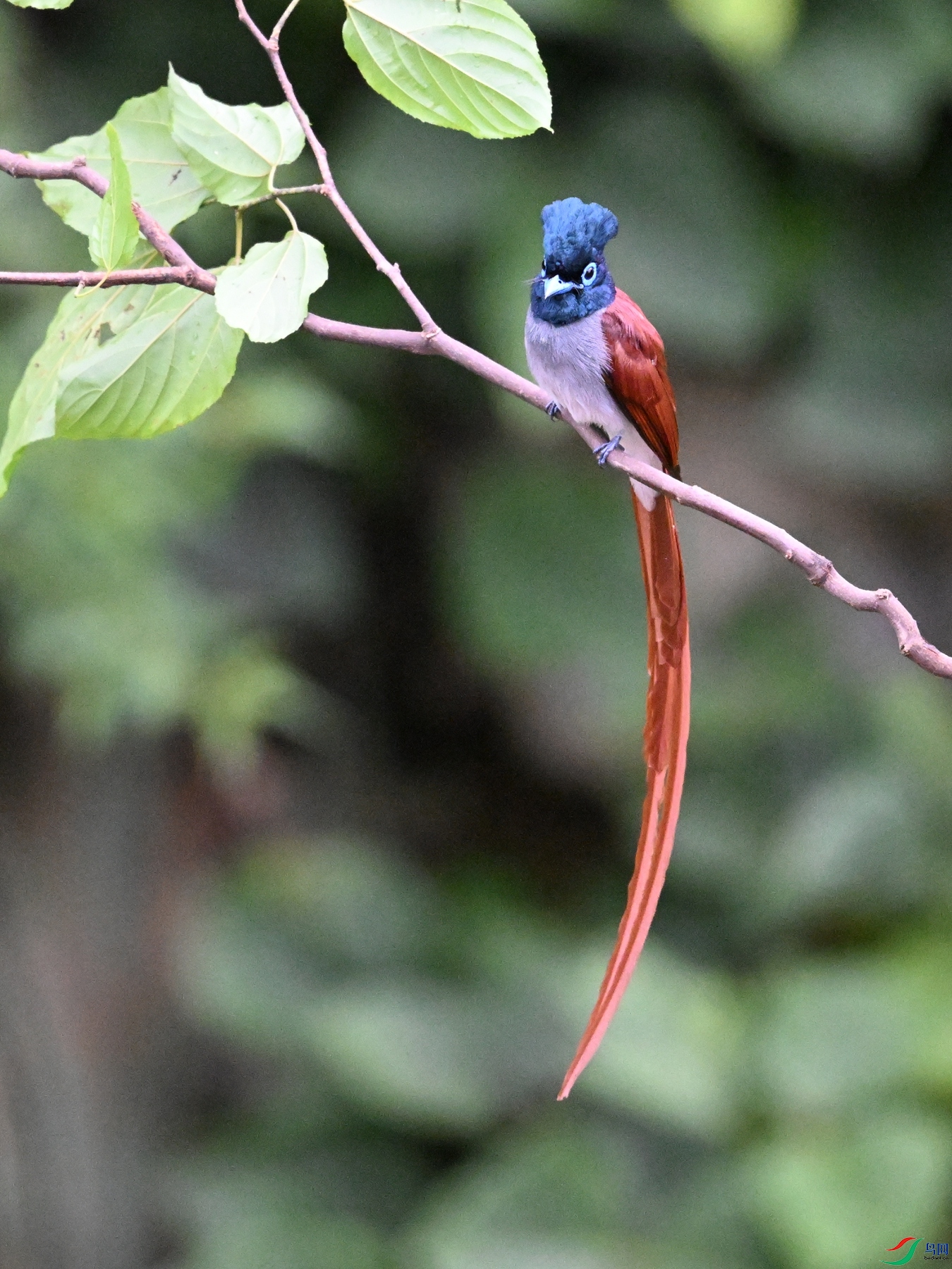 DSC_6509.JPG