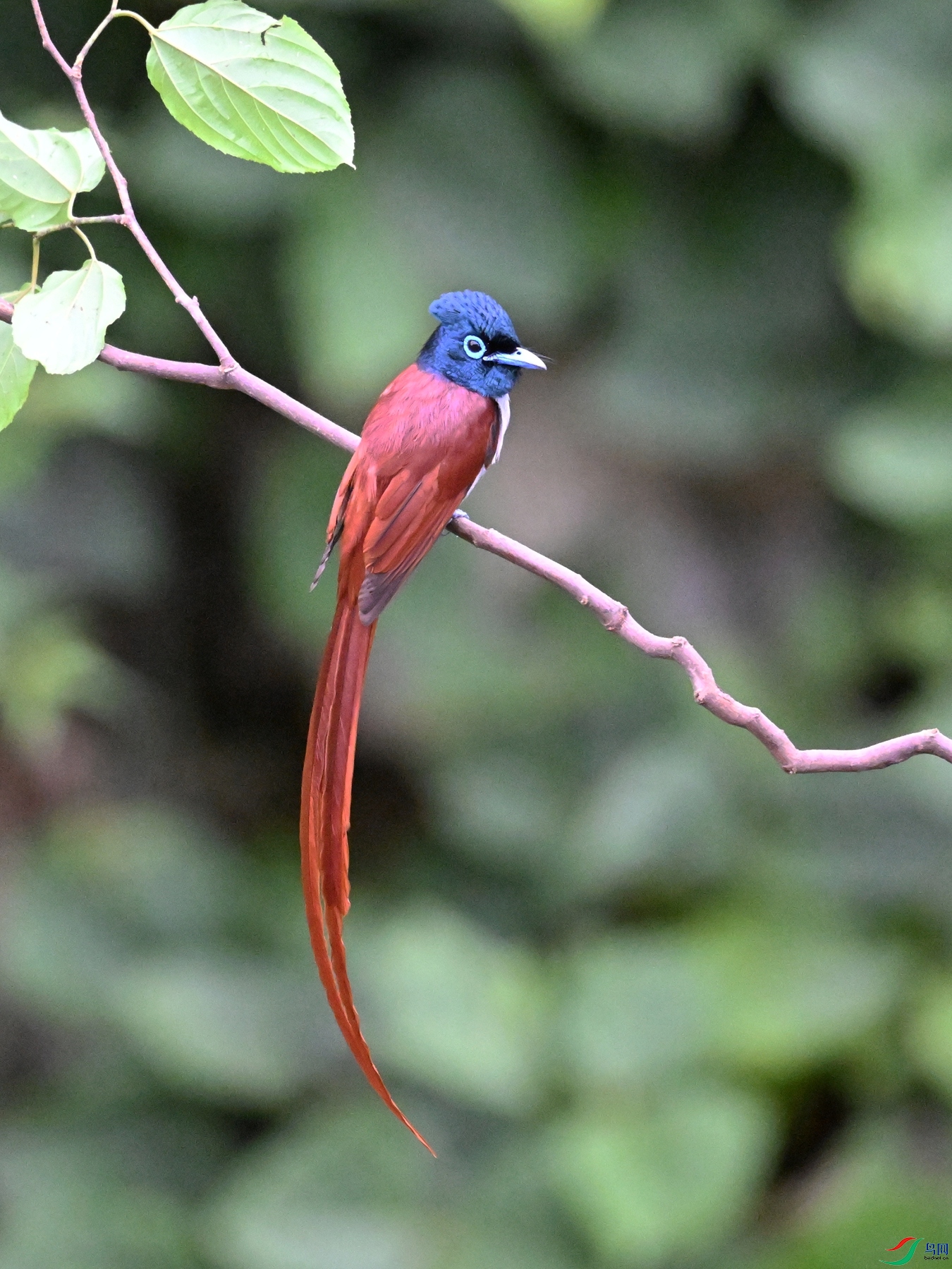 DSC_6531.JPG