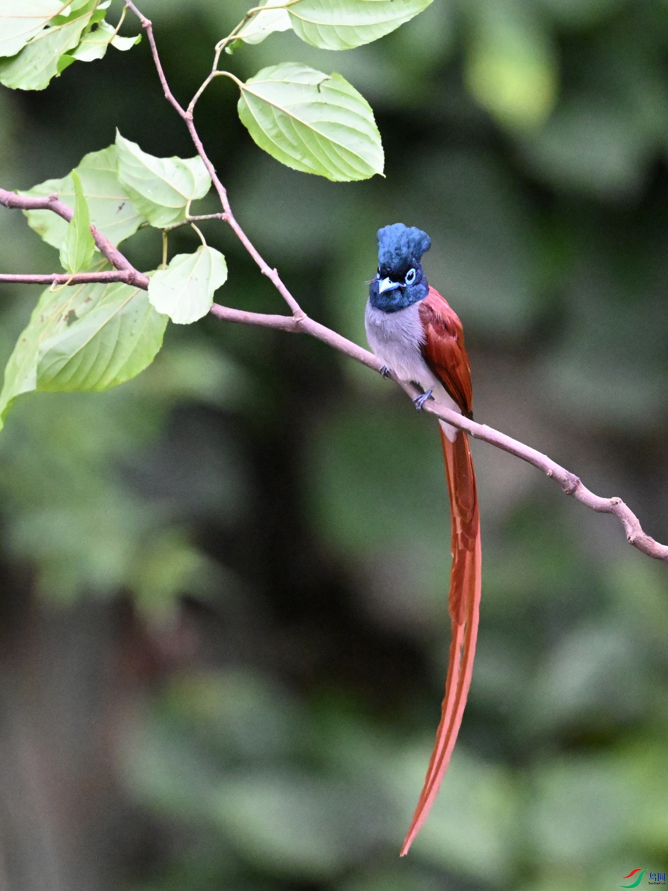 DSC_6511.JPG