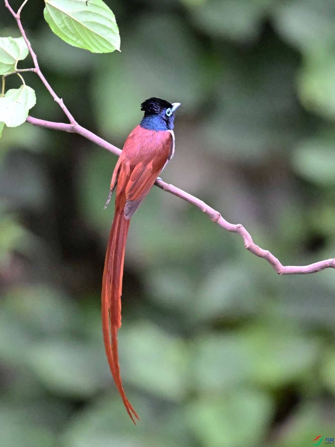 DSC_6528.JPG