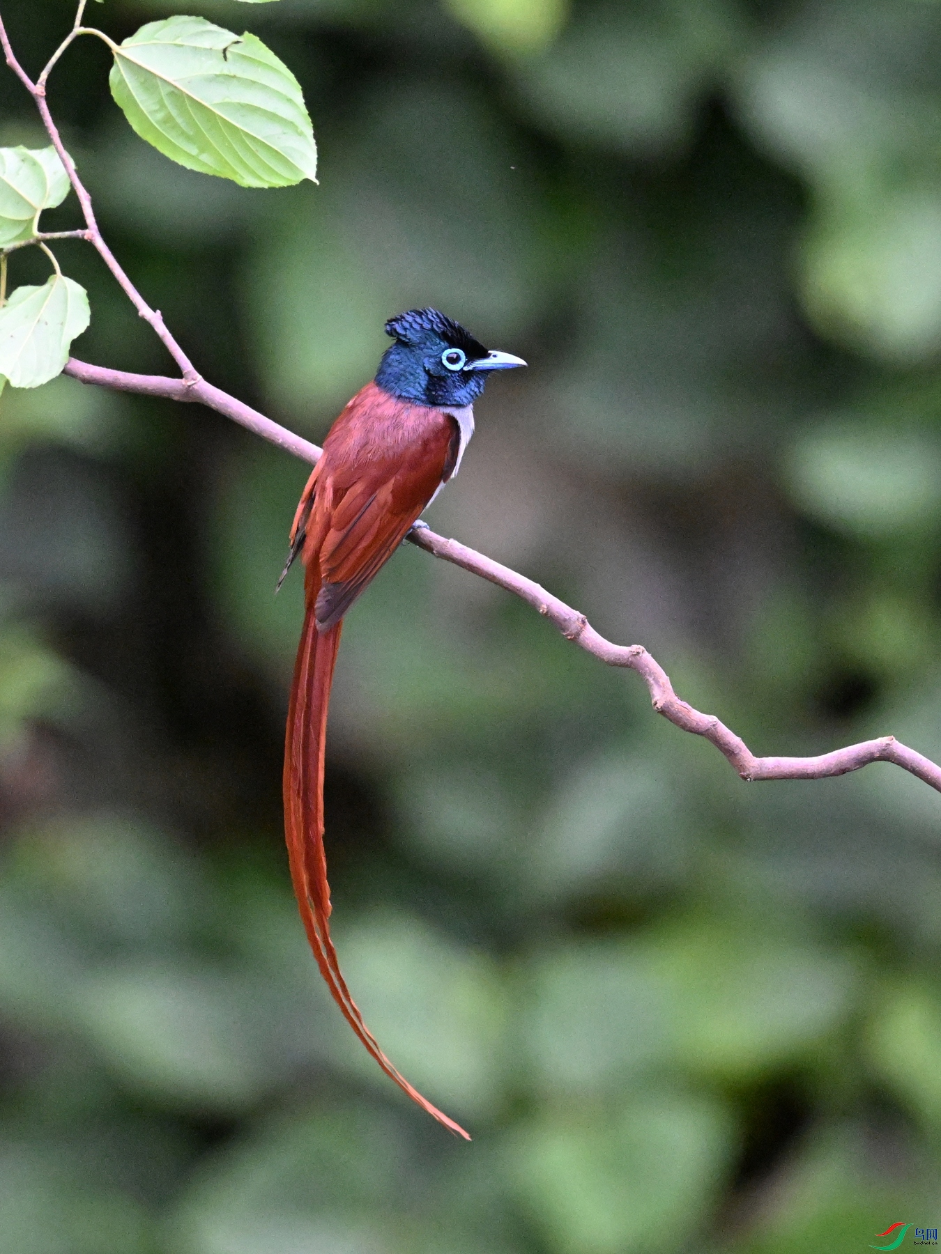 DSC_6535.JPG