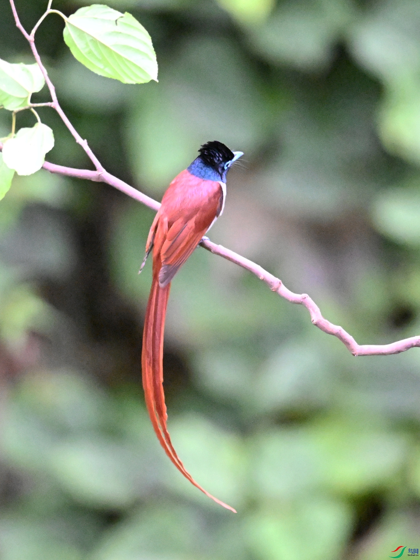 DSC_6523.JPG