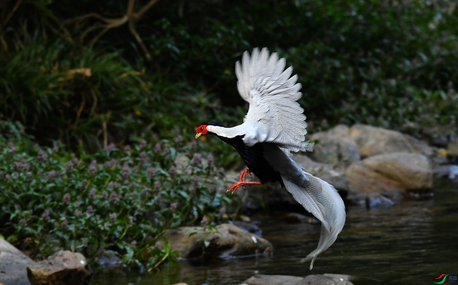 DSC_4356.jpg