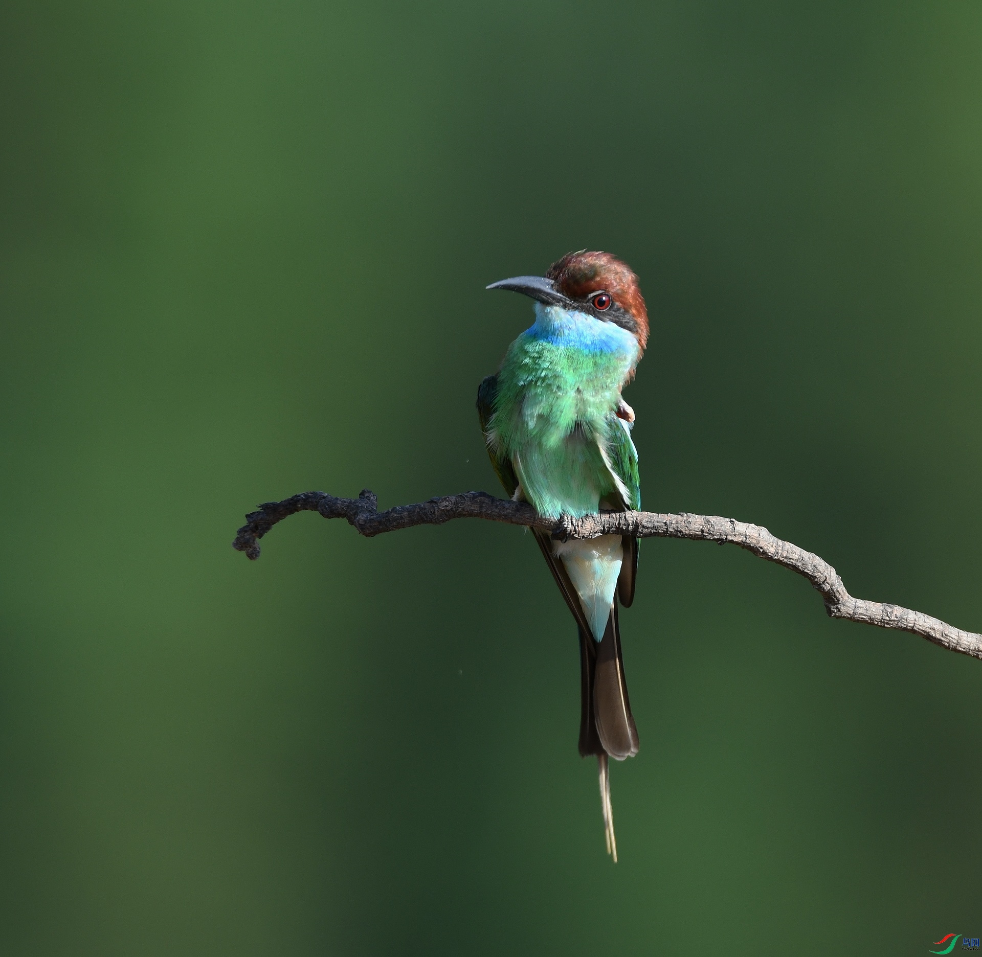 DSC_4388.jpg