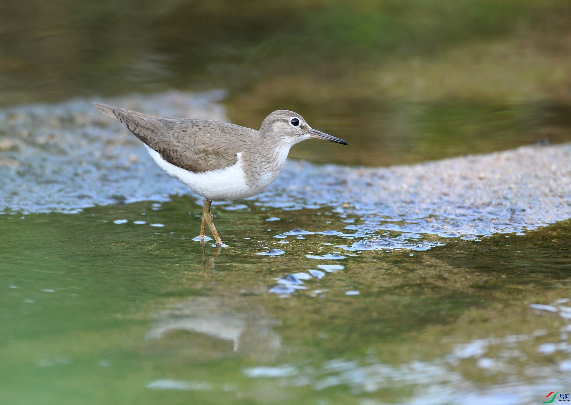 DSC_5262.jpg