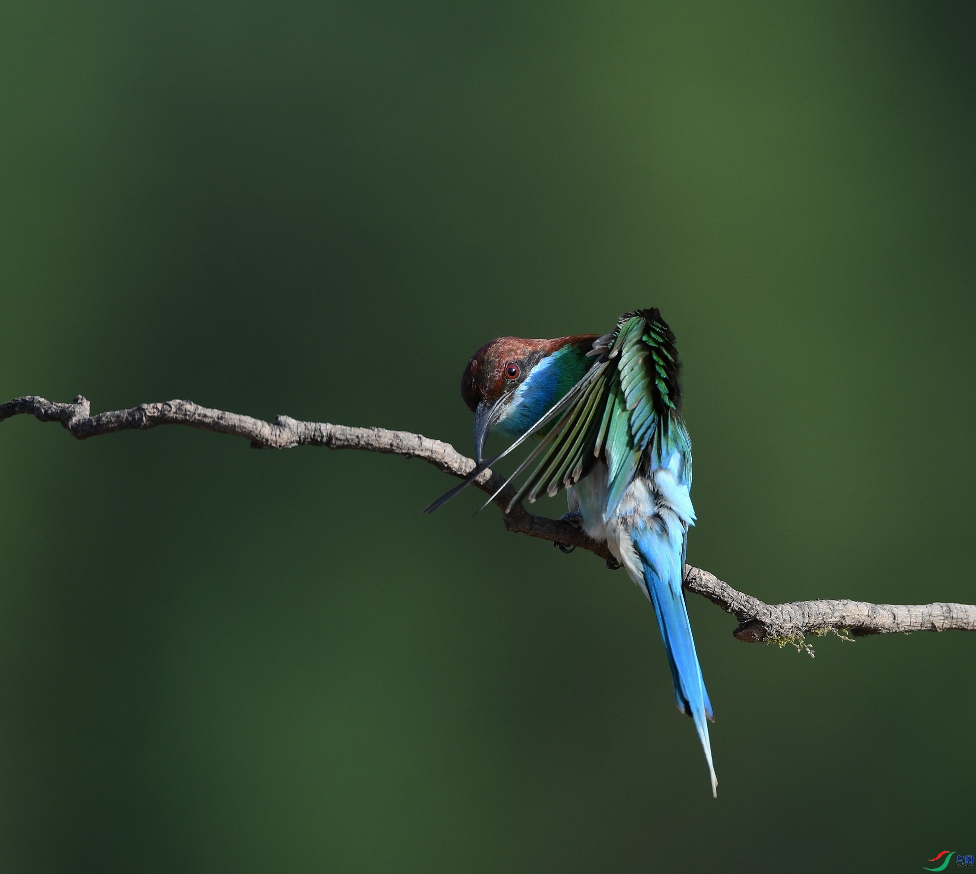 DSC_4366.jpg