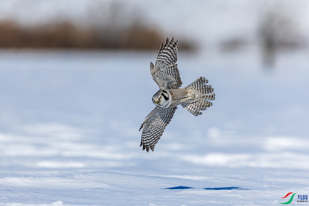 nmghleR3250228 (2087).jpg